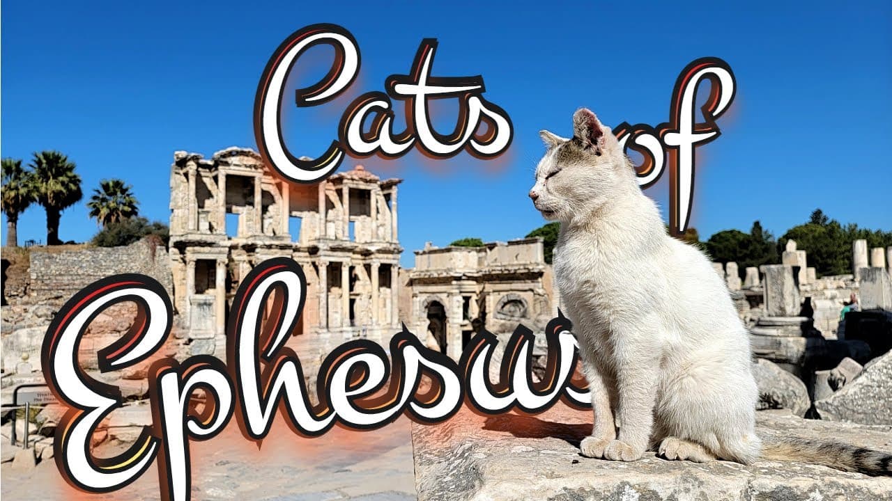 Ephesus: From Ancient Greek City to Roman Metropolis — Exploring the Ruins and Famous Cats of Turkey