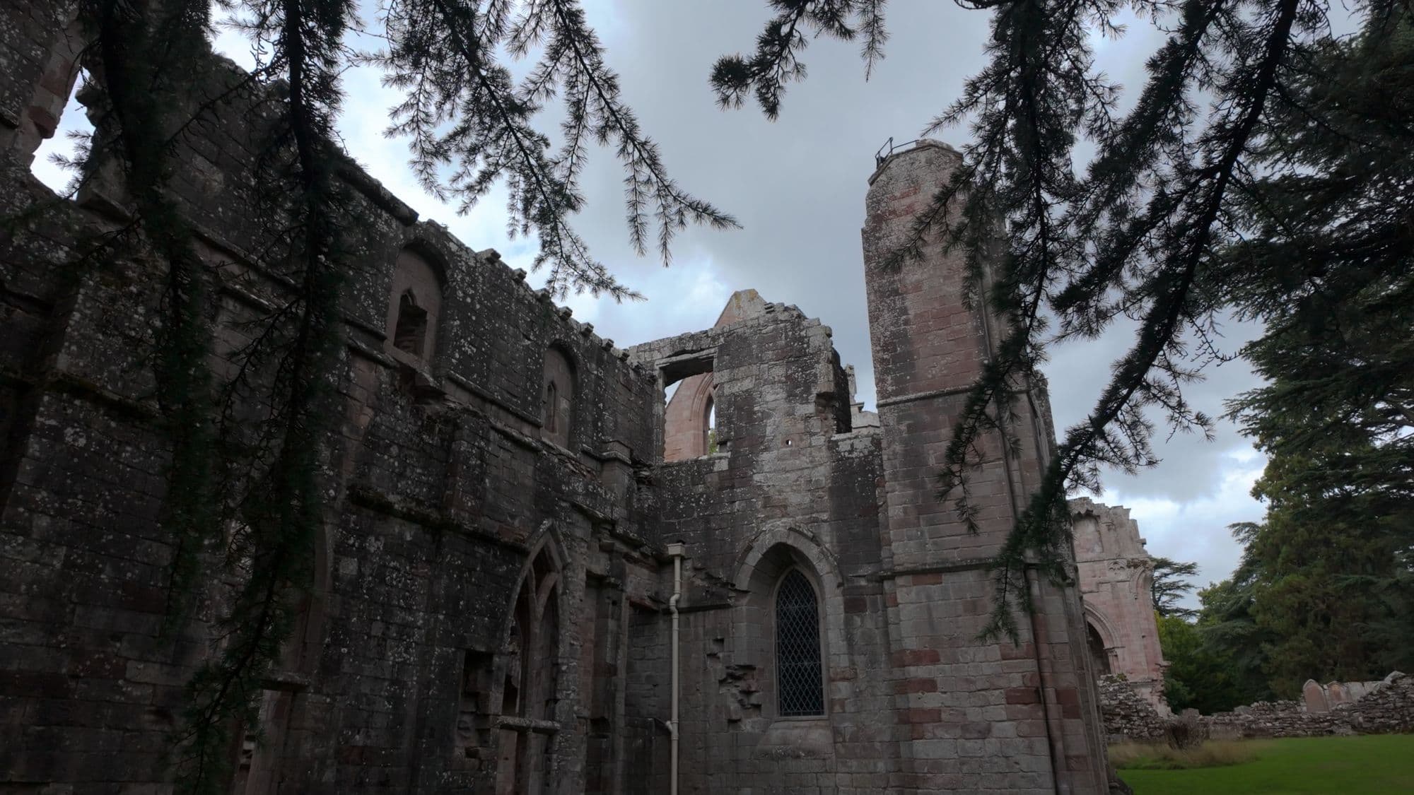 Ivy-hung walls of the abbey church seen from below through the branches of a cedar