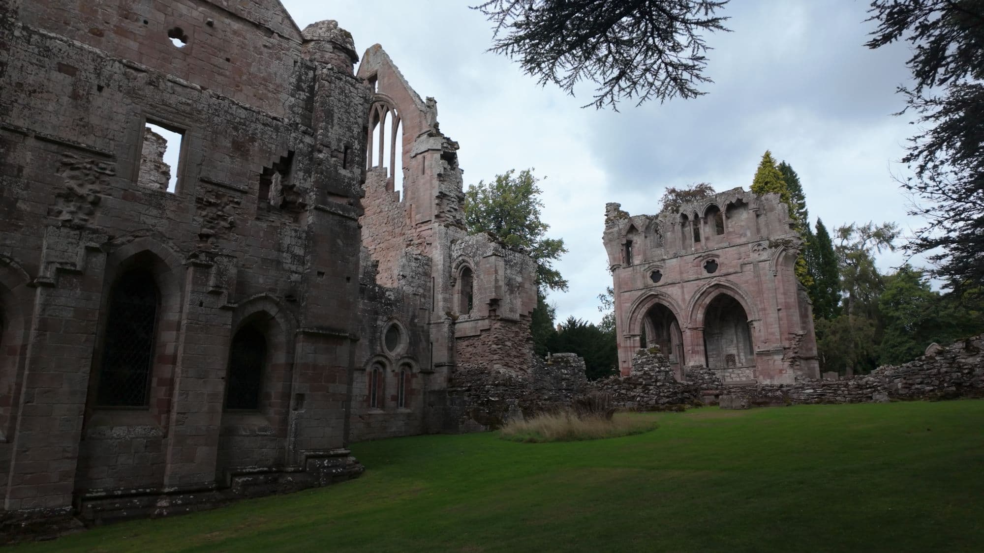 Roofless walls and arches of Dryburgh's church across the lawn, cedars leaning over them