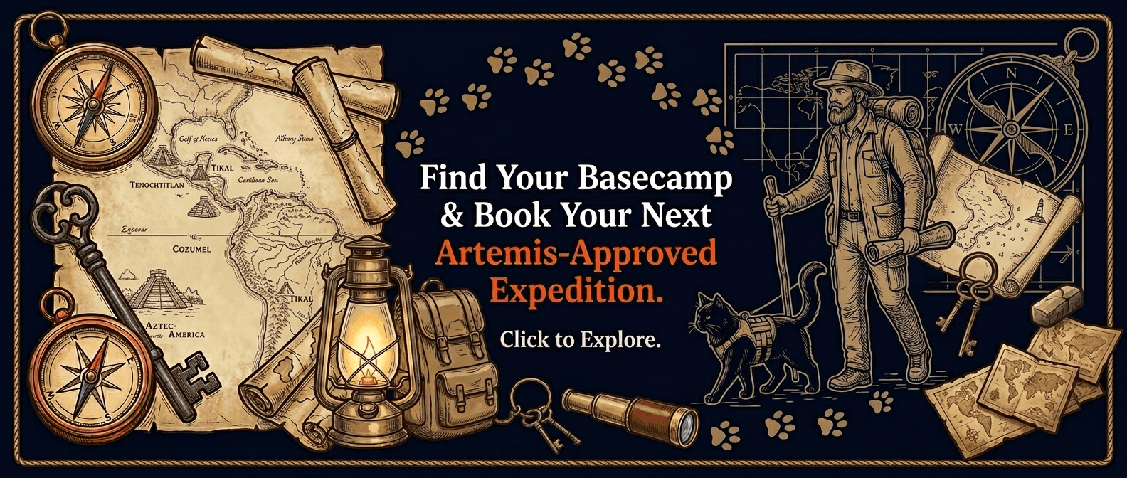 Find Your Basecamp — Book Your Next Artemis-Approved Expedition on Booking.com