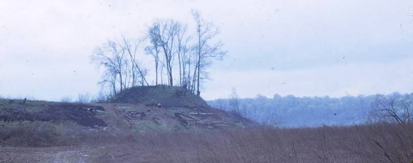 A 1949 photograph of the Cowan Creek Mound — a tree-topped rise standing above the cleared valley floor, weeks before the water arrived