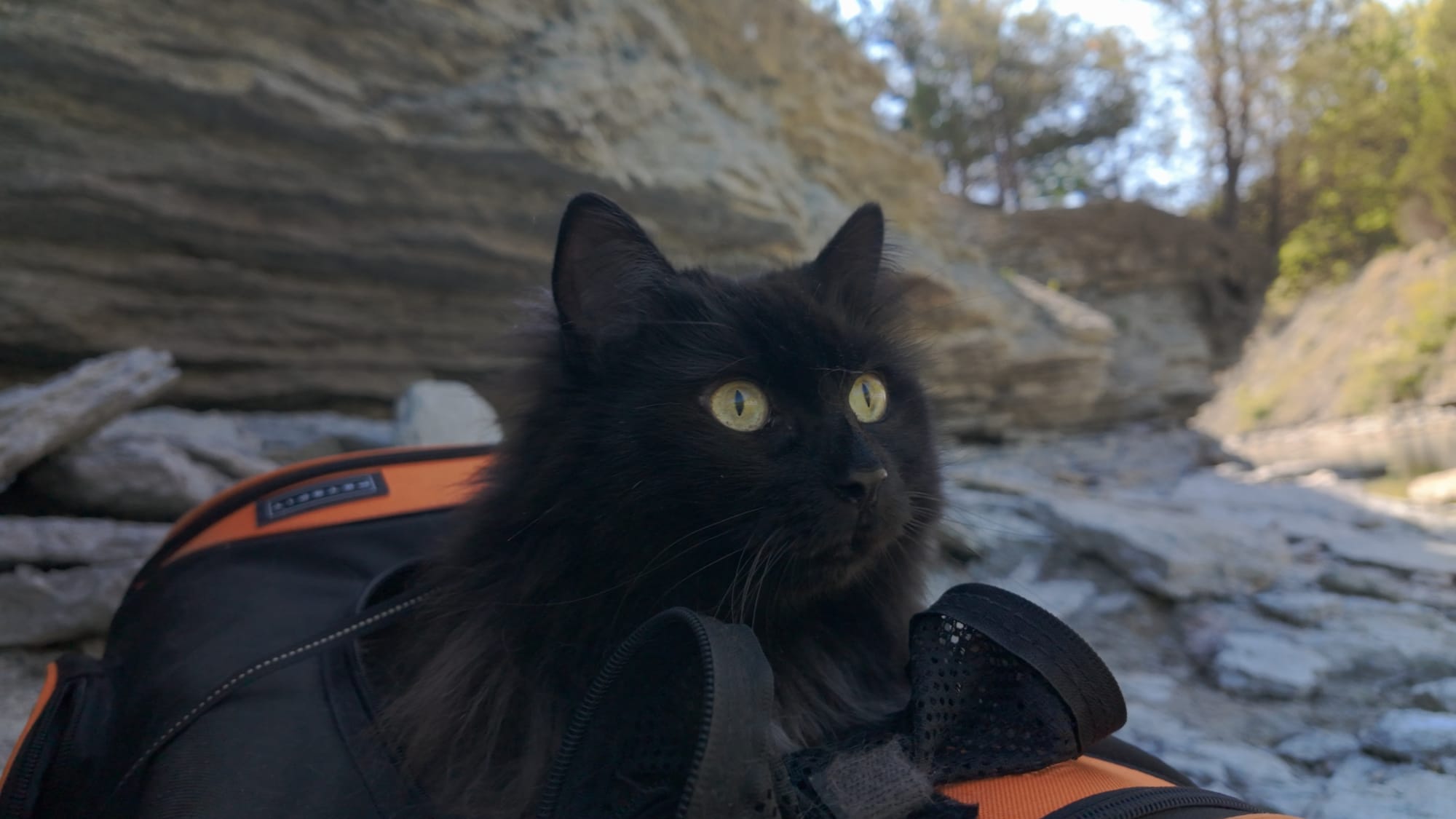 Artemis riding in her orange backpack down in the spillway gorge, unimpressed by 445 million years of geology