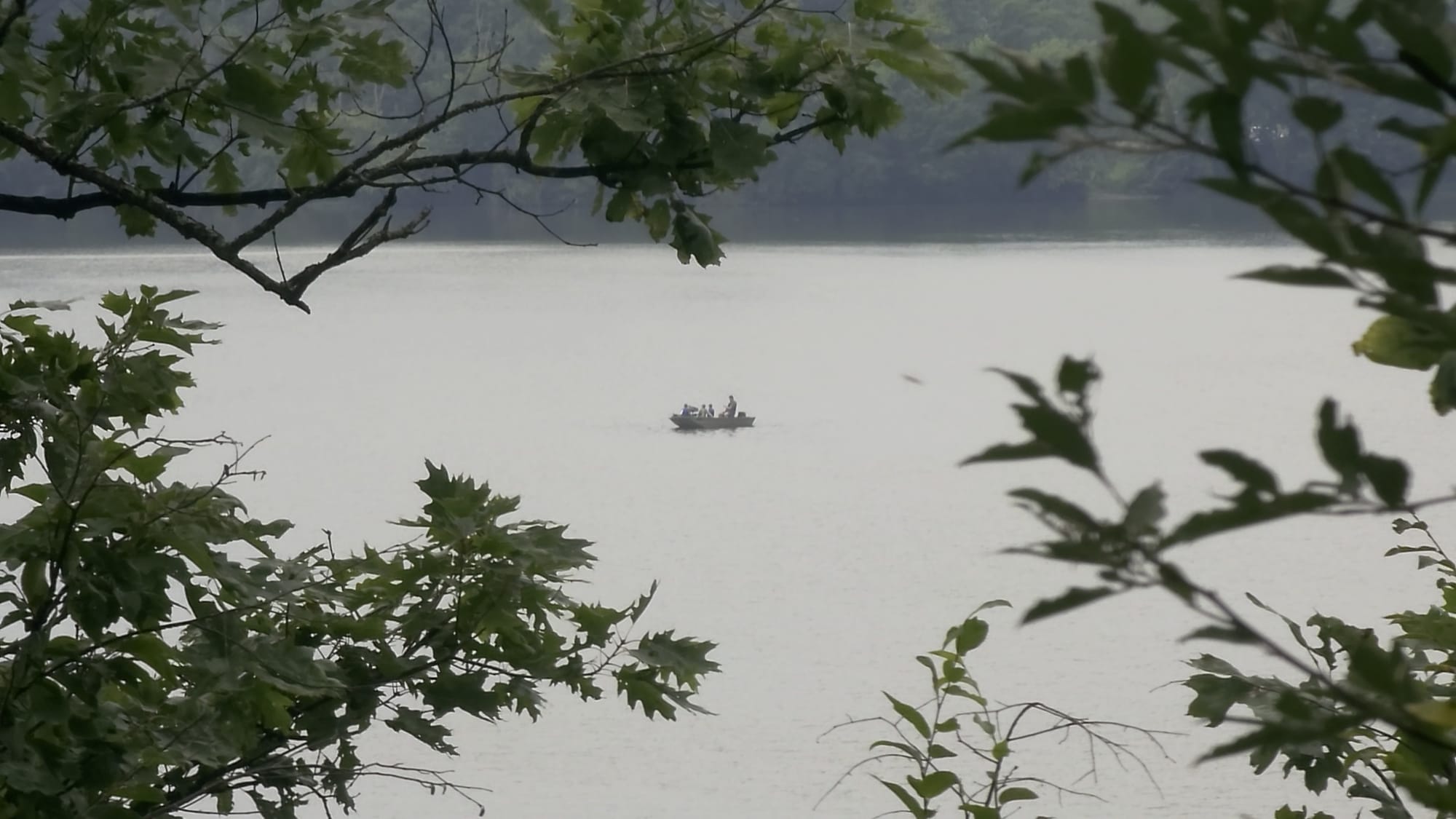 A small fishing boat sitting out on flat silver water, framed through the leaves along the Cowan Lake shore