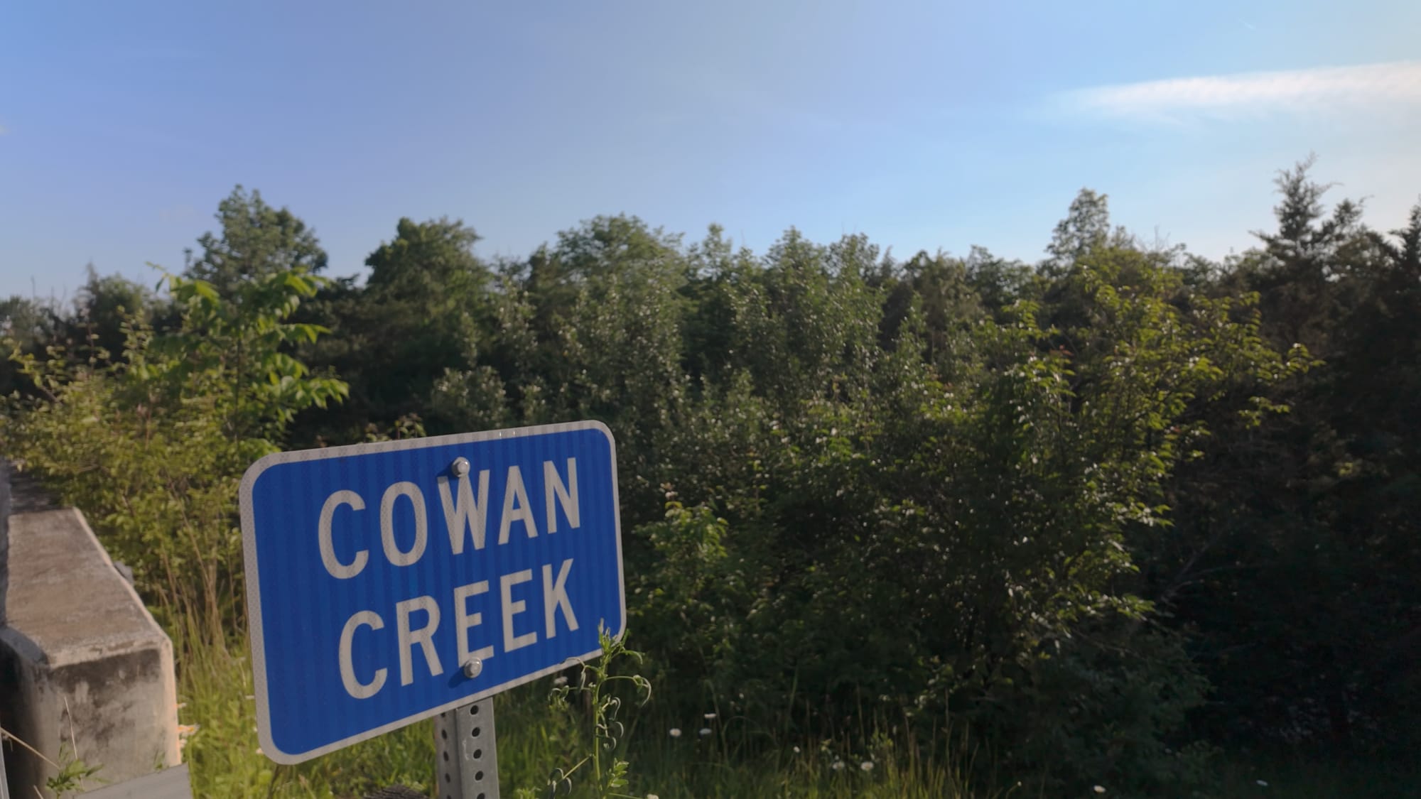 A blue Cowan Creek road sign at the pull-off on Route 730, backed by summer brush