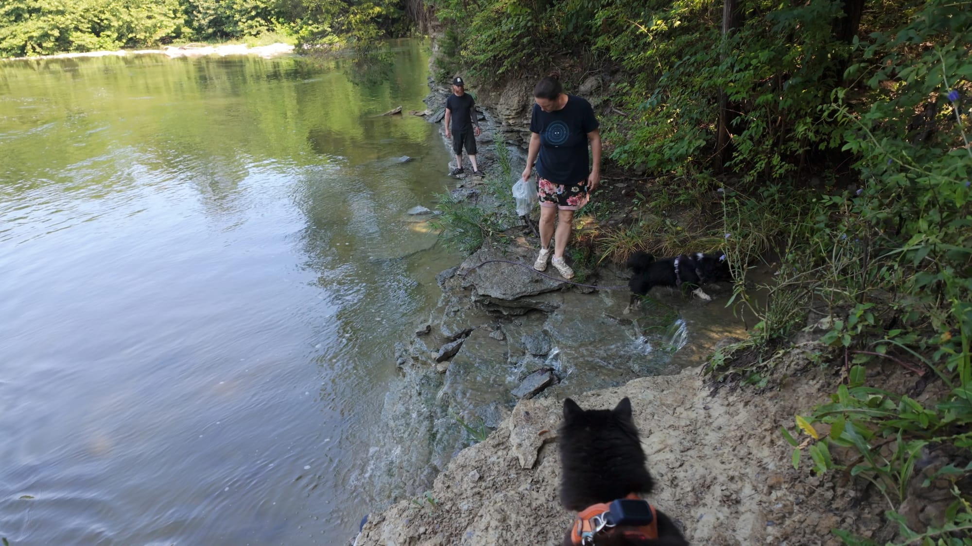 Two people picking their way along the rocky creek edge with a collecting bag and a dog, while Artemis watches from a boulder in the foreground