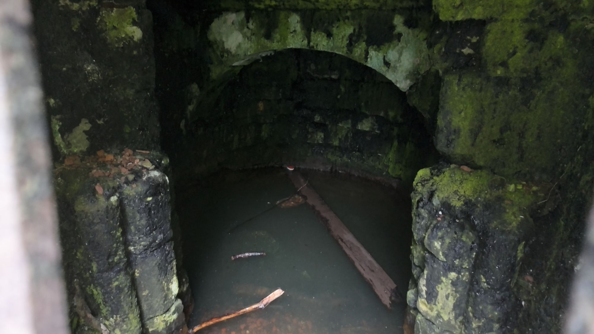 Looking through the bars into the Balm Well: a mossy stone chamber with dark, still water at the bottom