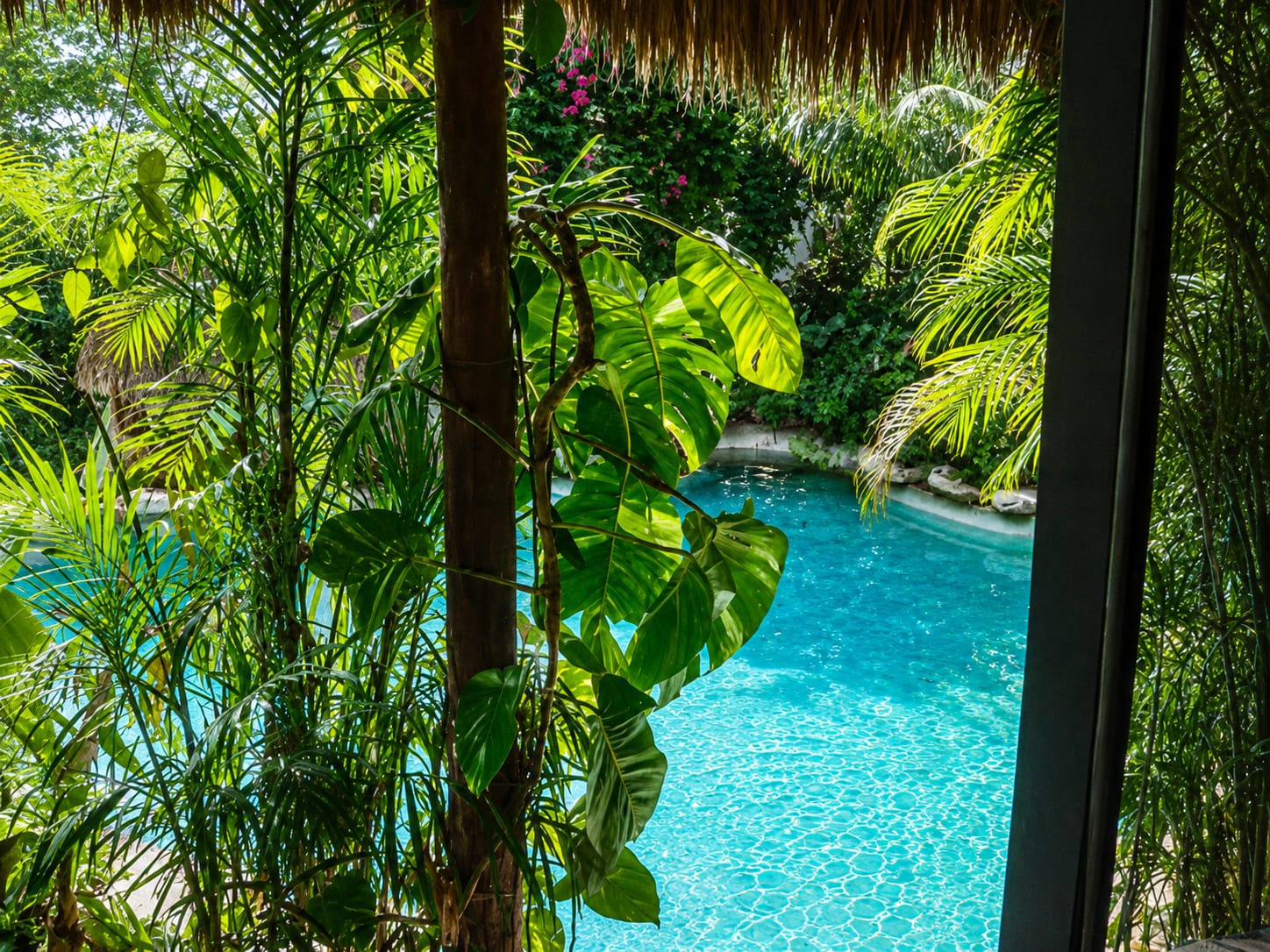 The pool at Genesis Eco-Oasis, from our room.