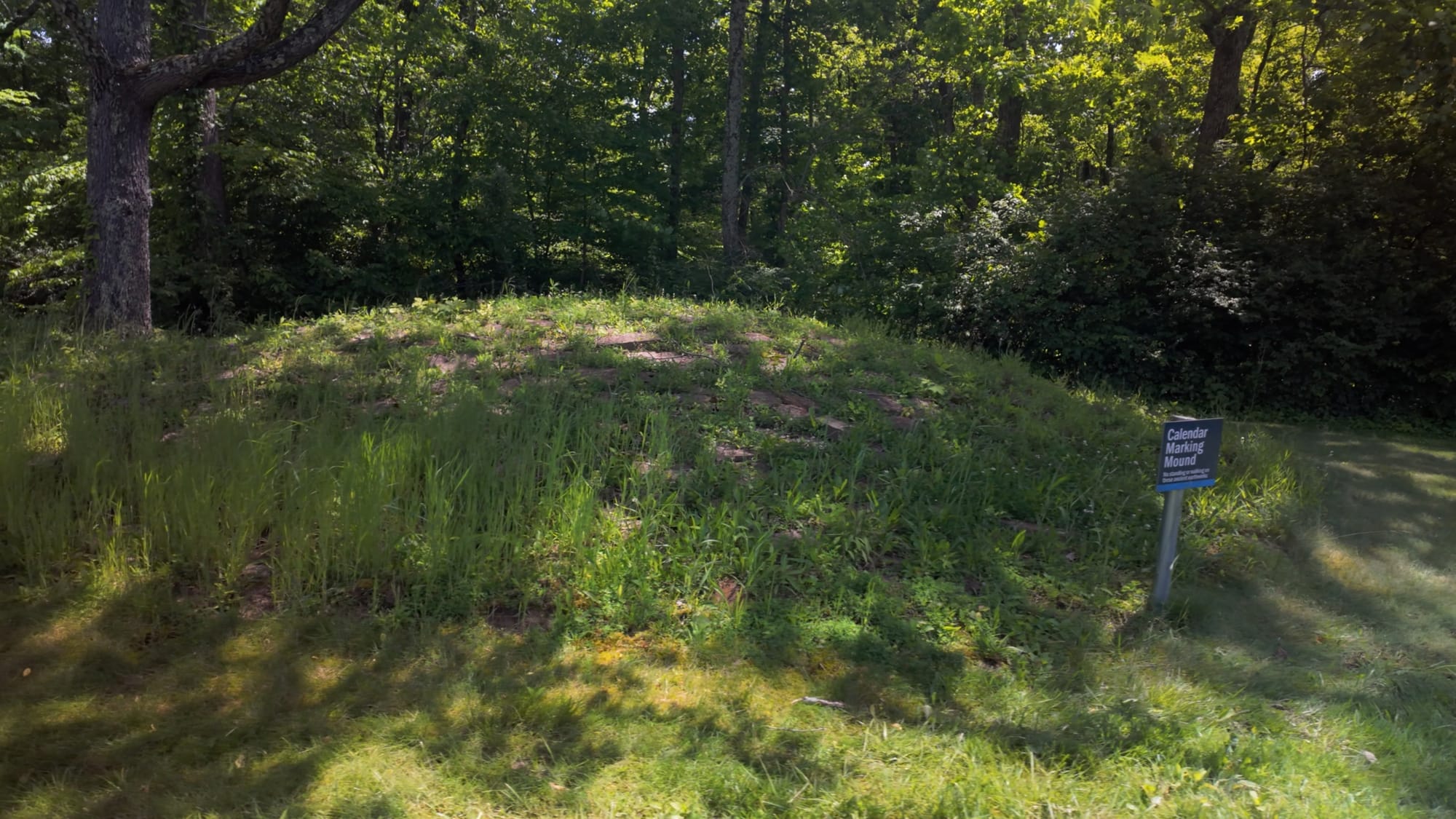 One of the limestone-capped mounds inside the enclosure, marked with a 