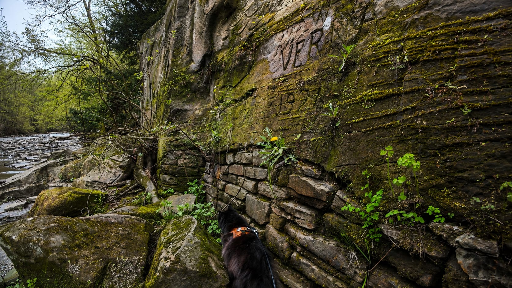 Artemis beside the Chagrin River at the river-facing side of the rock