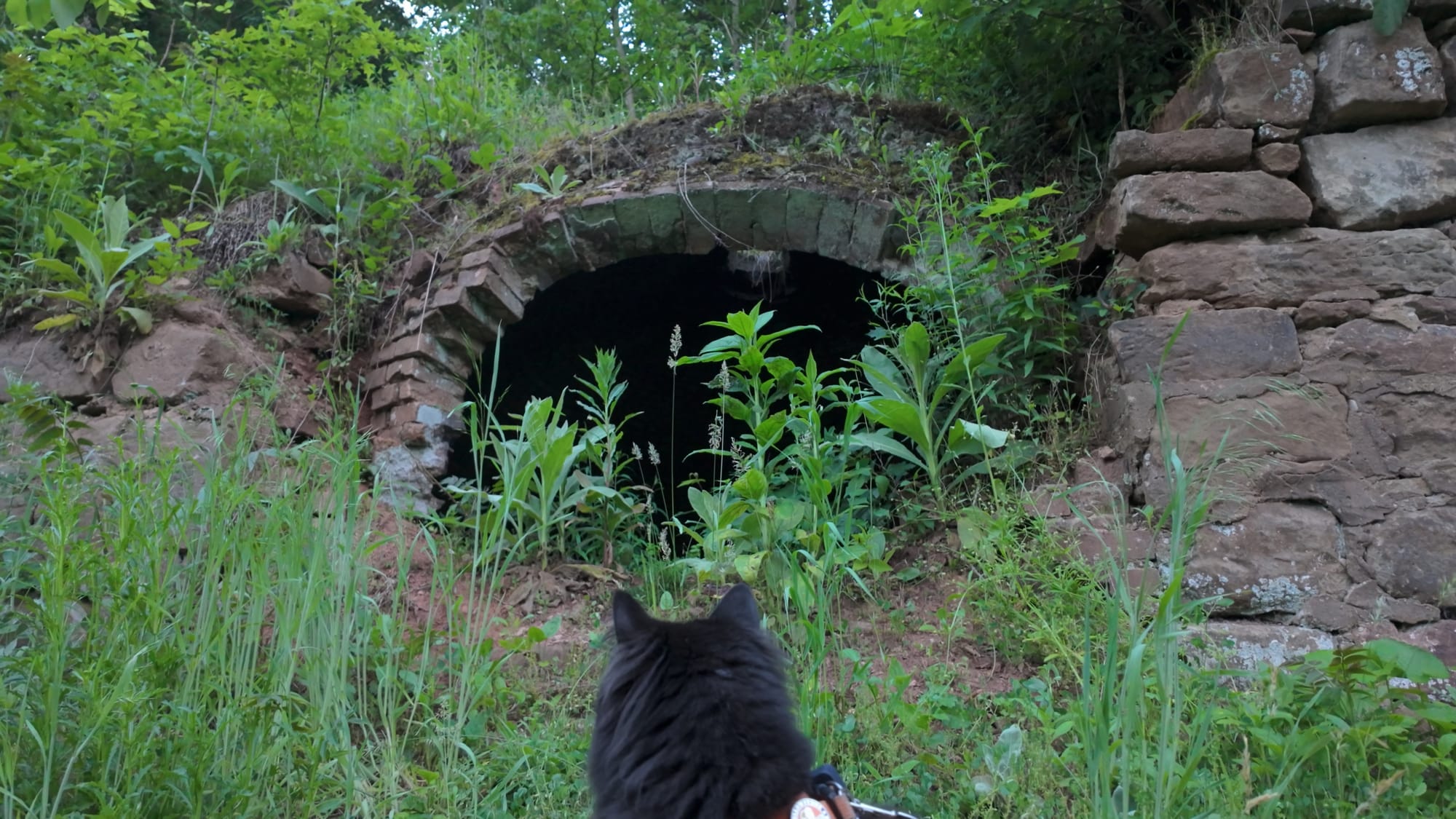 The arched discharge opening of an oven, where the finished coke was raked out onto rail cars