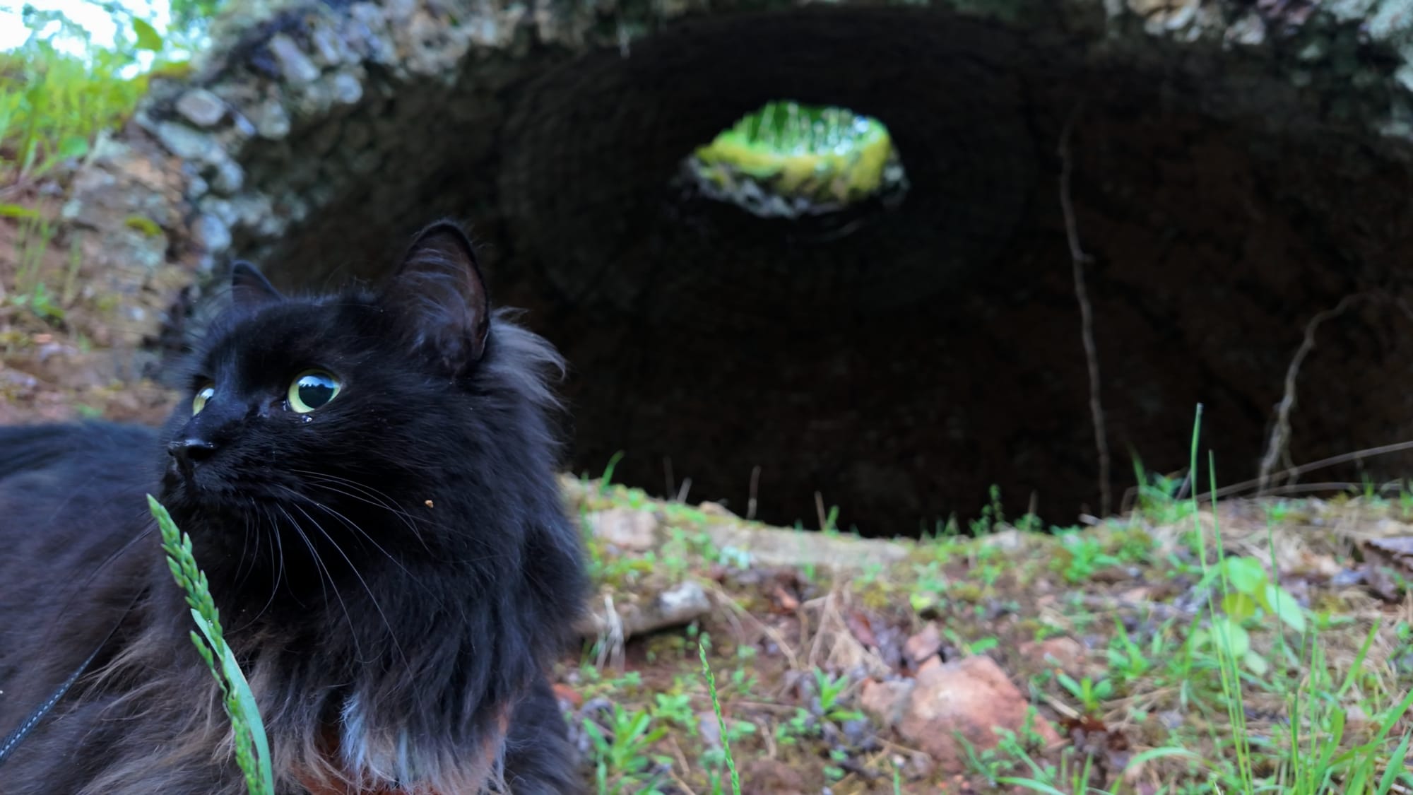 Artemis standing beside one of the ovens, showing the true scale of the twelve-foot brick domes