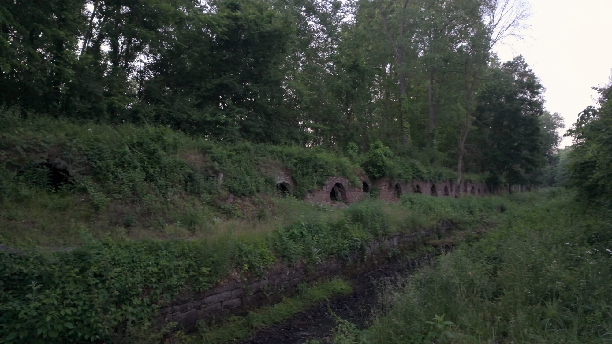 A long row of beehive coke ovens receding into the trees at the Cherry Valley site in Leetonia, Ohio
