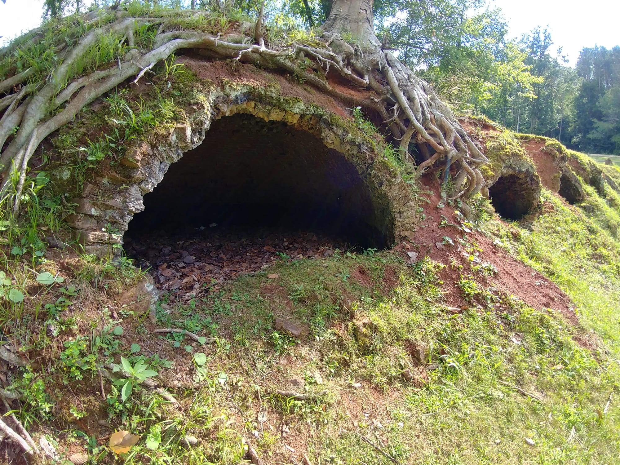 A single well-preserved beehive coke oven, its brick dome and arched front opening still intact