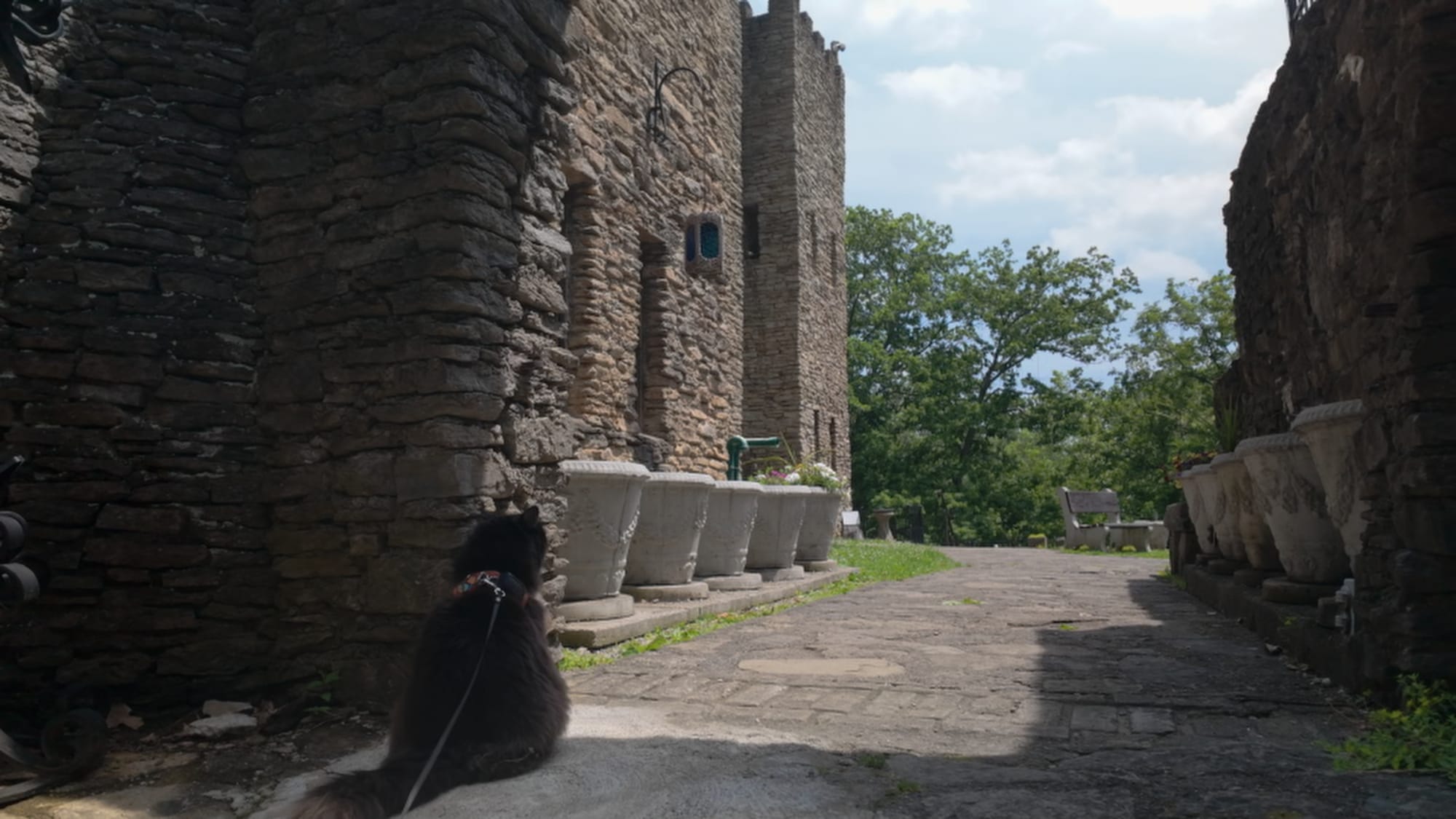 Artemis inspecting one of the garden wall arches — one of these hid a secret room for decades