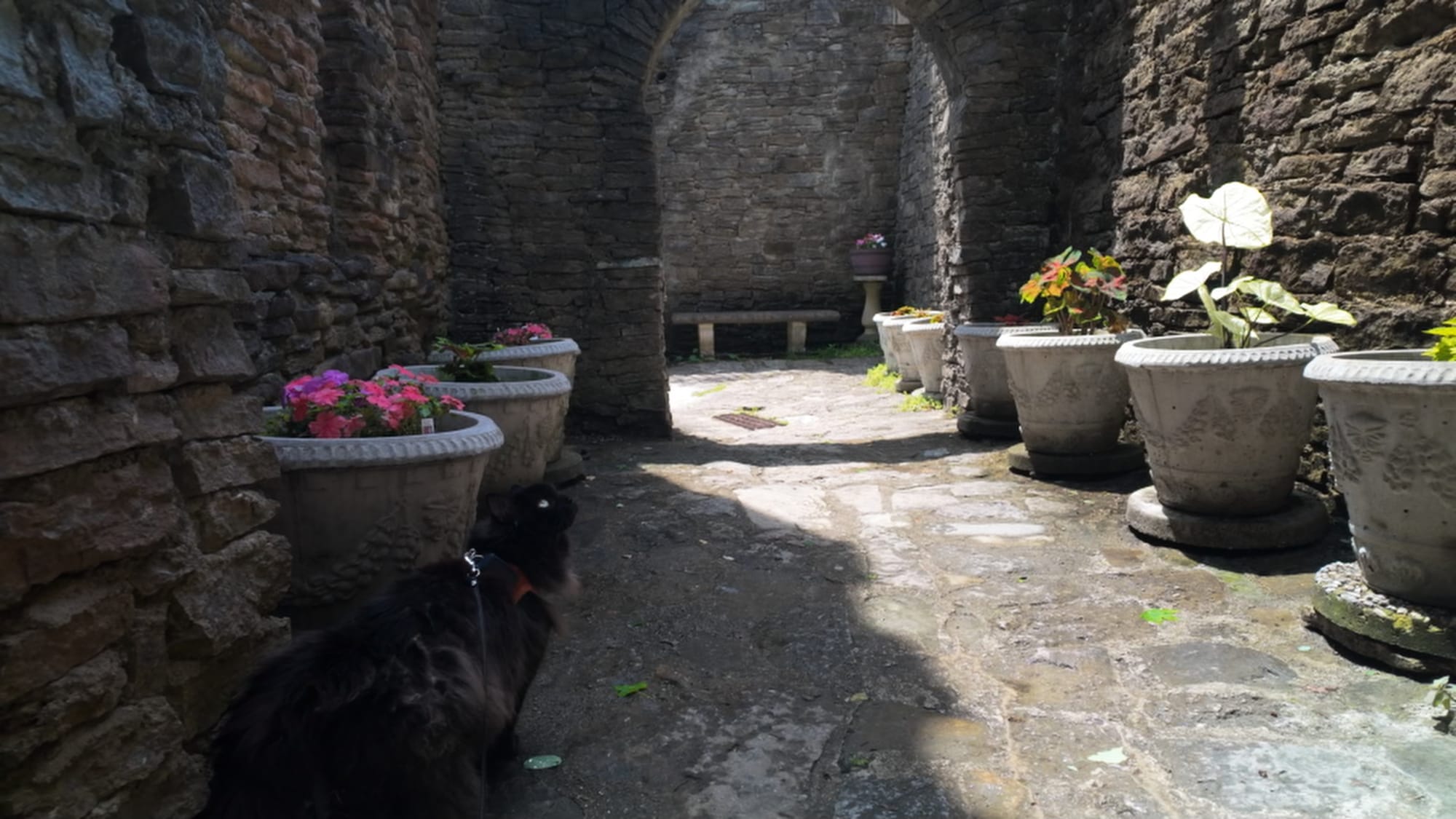 Artemis in the castle gardens above the Little Miami