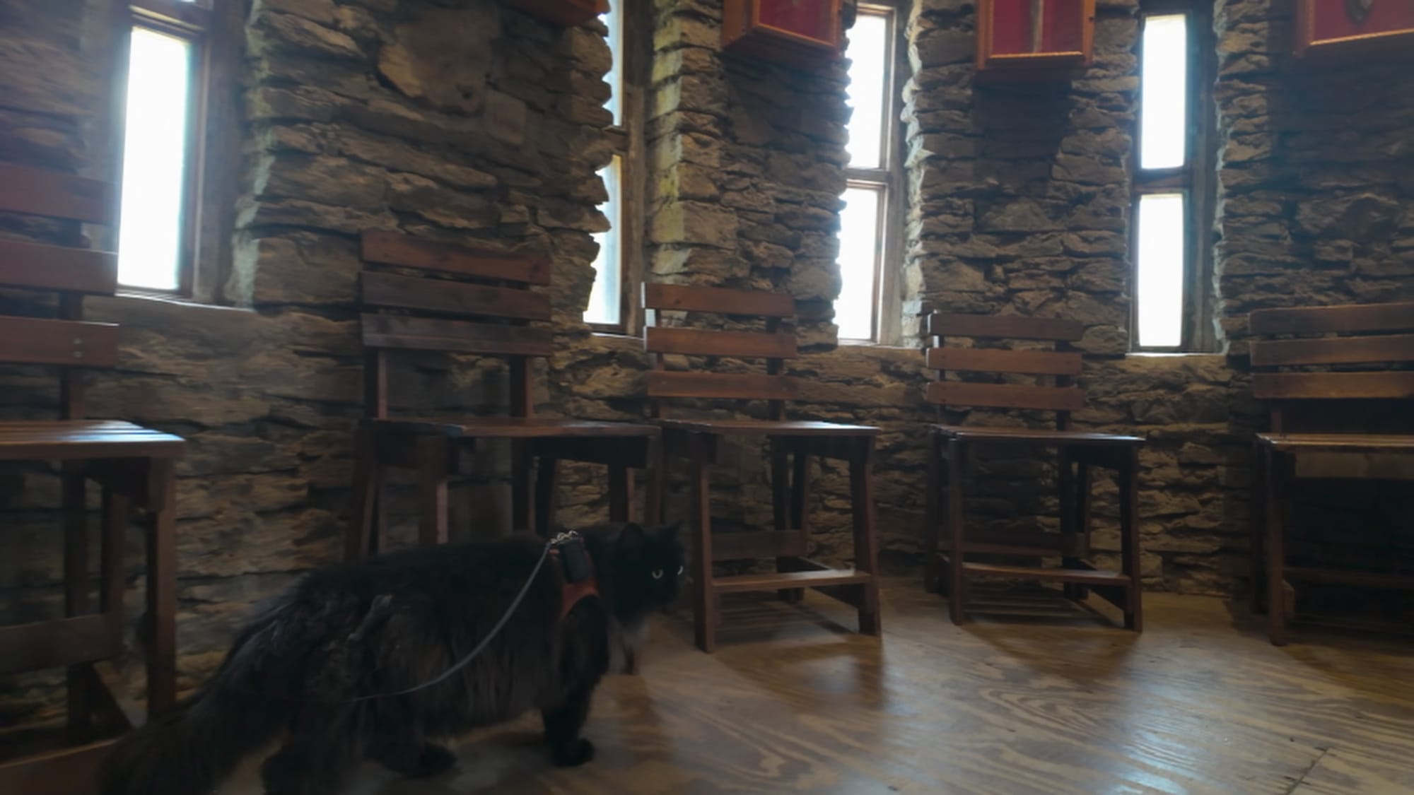 Artemis inspecting the ballroom displays