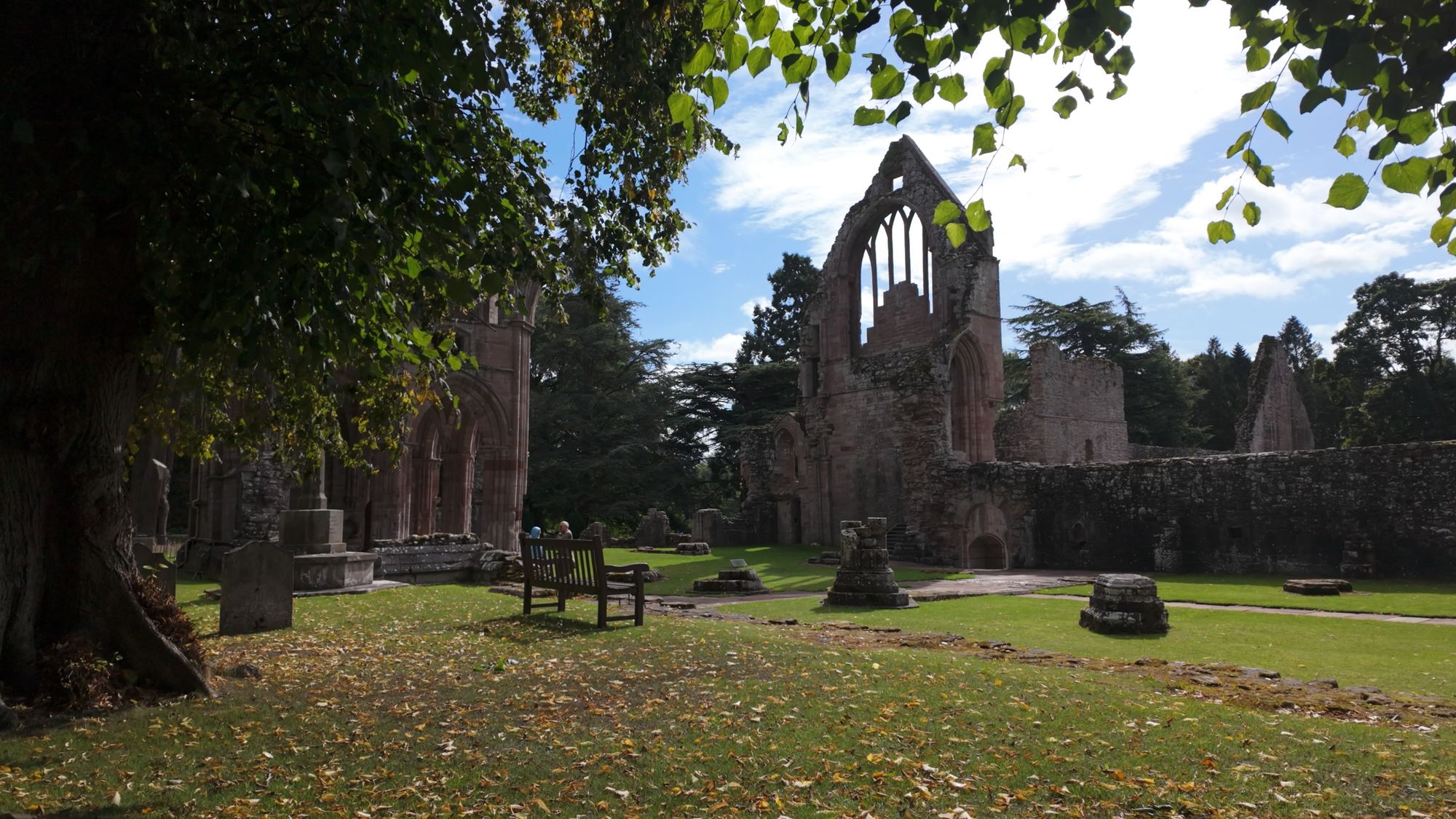 Dryburgh's ruins among lawns and mature trees, with a bench under the branches