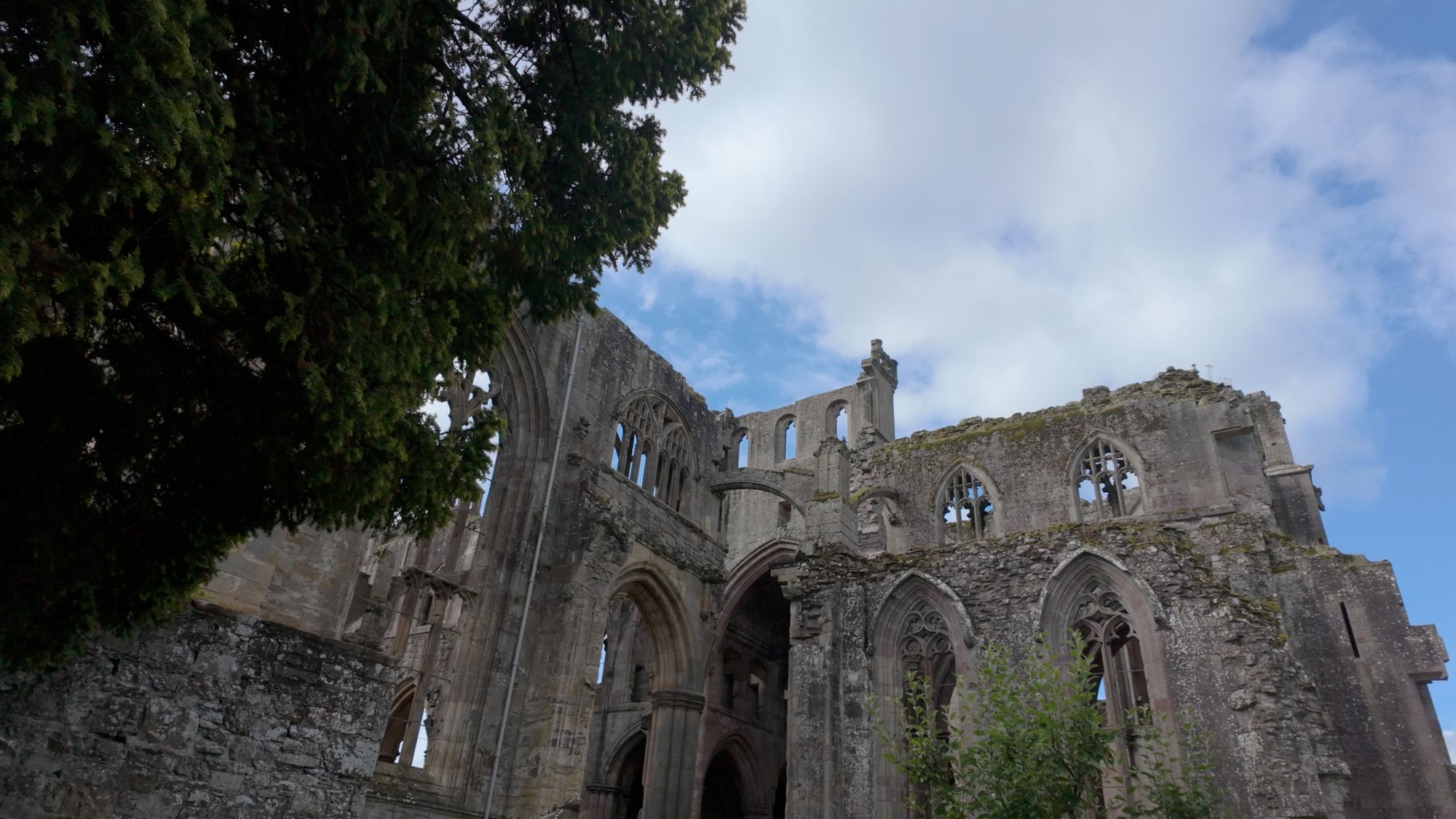 Melrose Abbey's roofless church in rose-pink sandstone, rising behind the trees under a blue sky