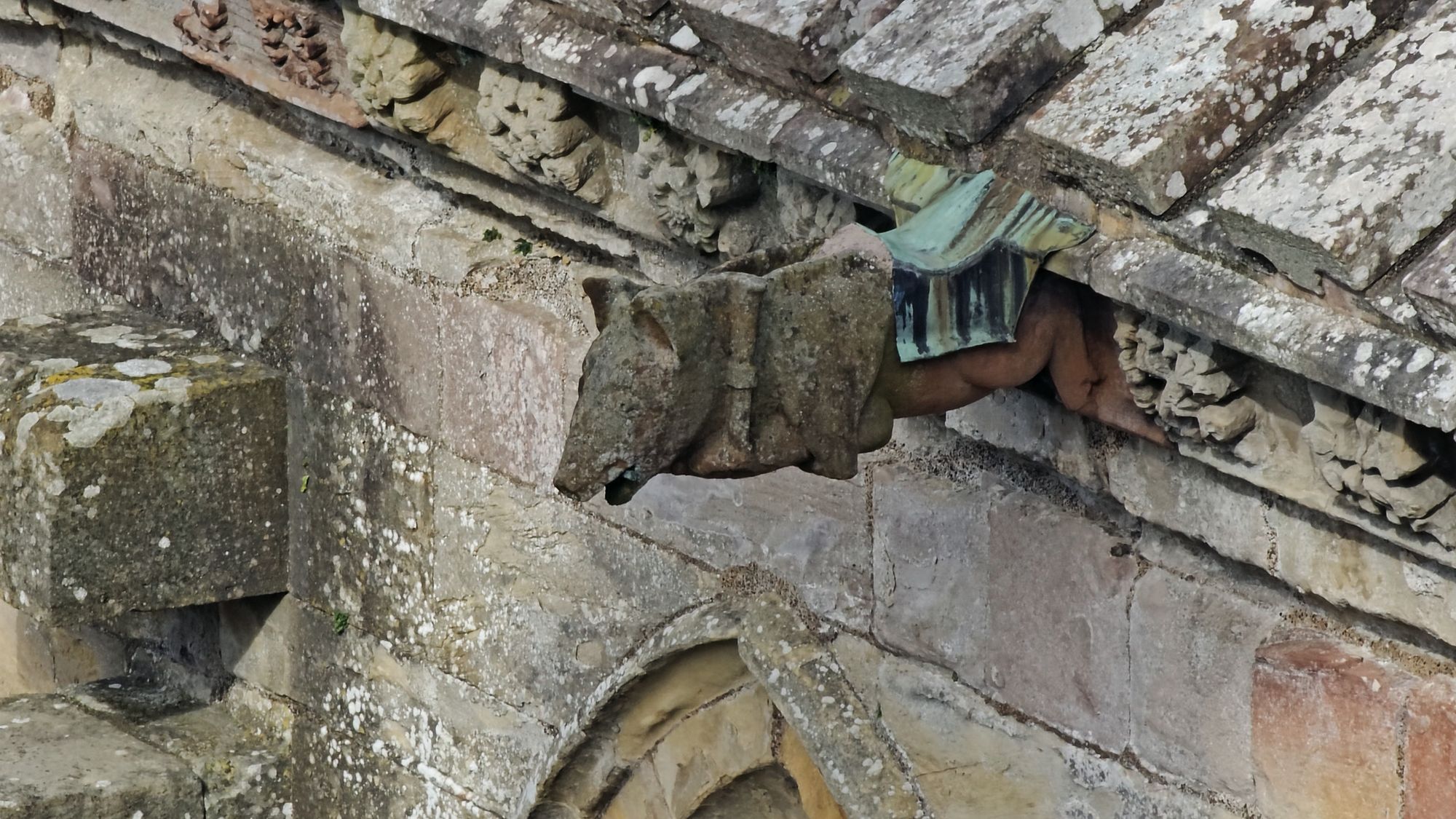 The famous bagpipe-playing pig, carved high on Melrose Abbey's roofline beside a weathered stone gutter