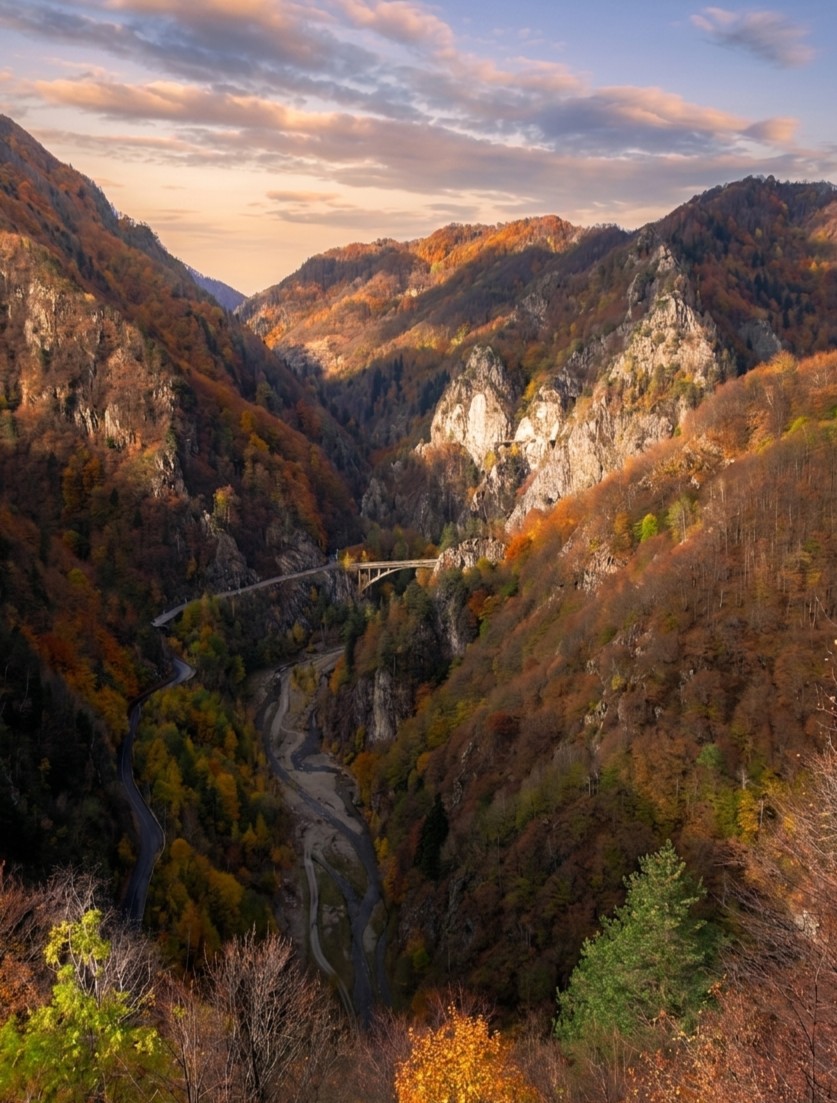 The view from Poenari — the Argeș valley stretching into the Carpathians