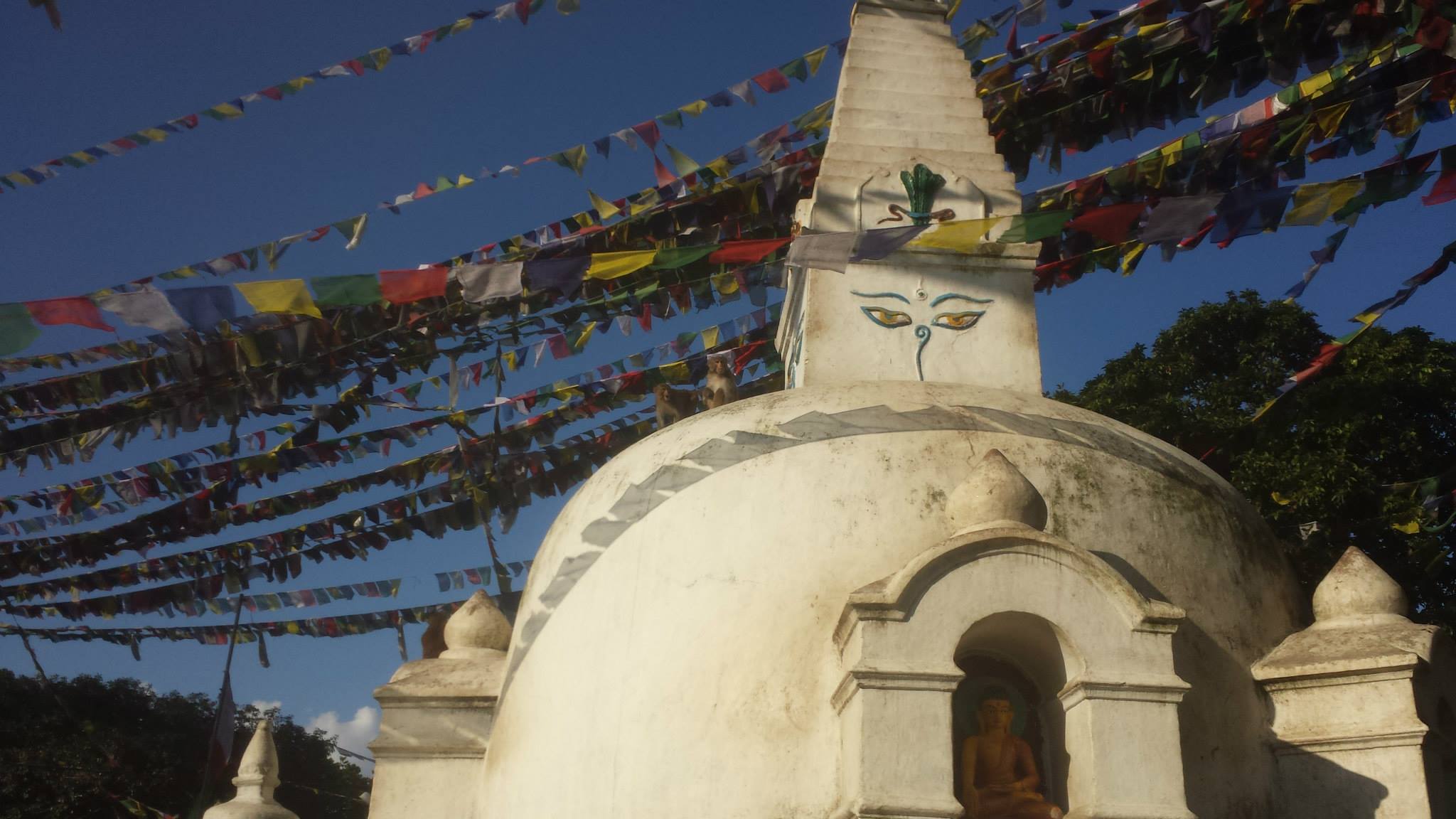 Swayambhunath stupa — the Buddha's eyes watching all four compass points above Kathmandu