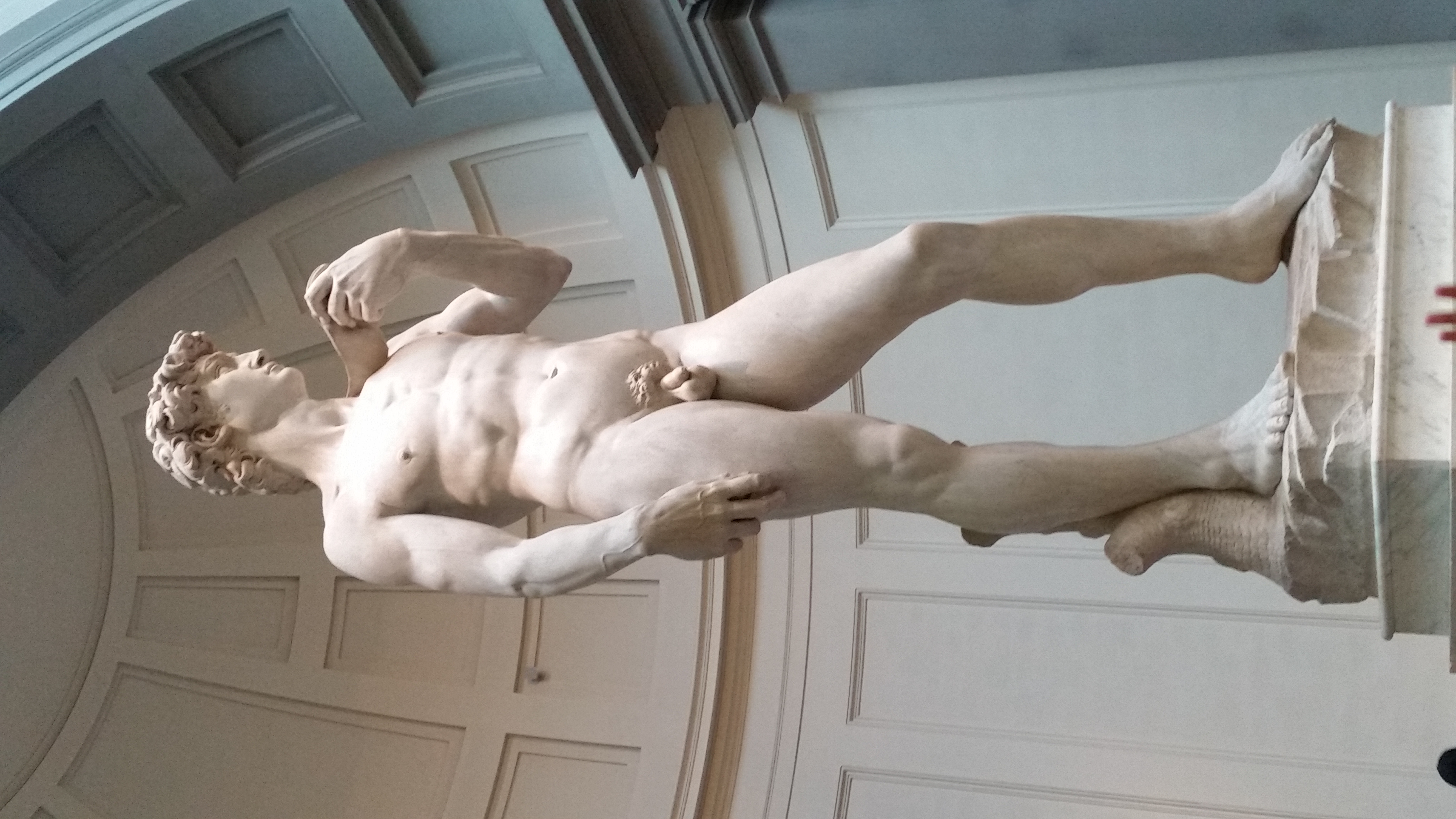 Michelangelo's David at the Accademia Gallery, Florence