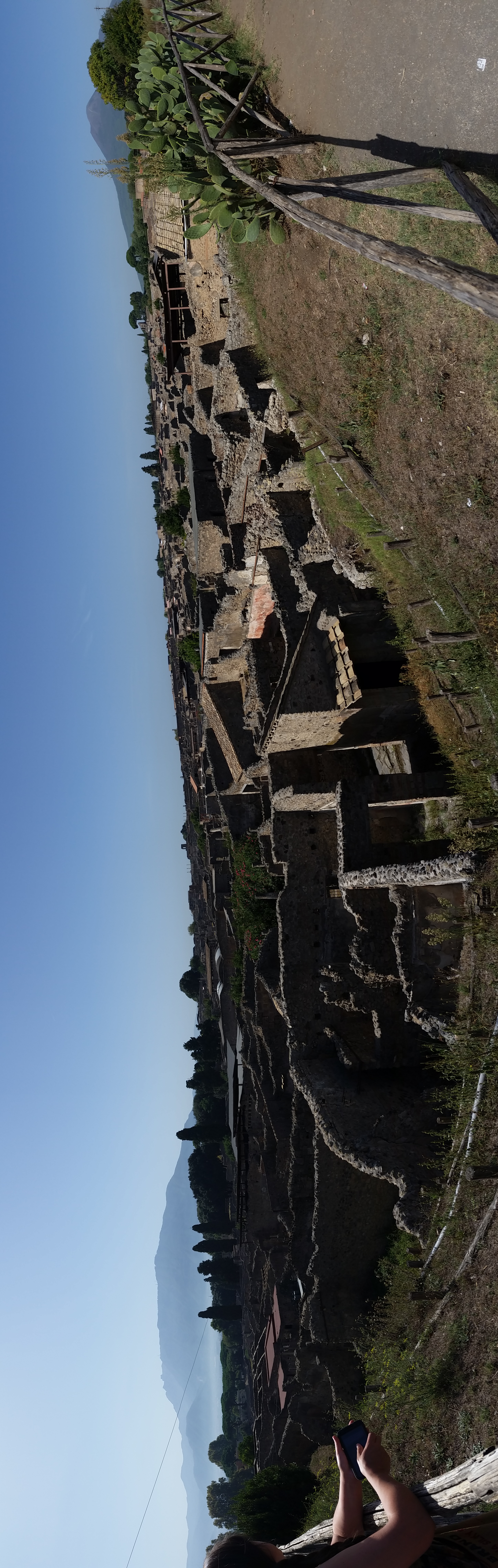 A wide view across the excavated ancient city of Pompeii