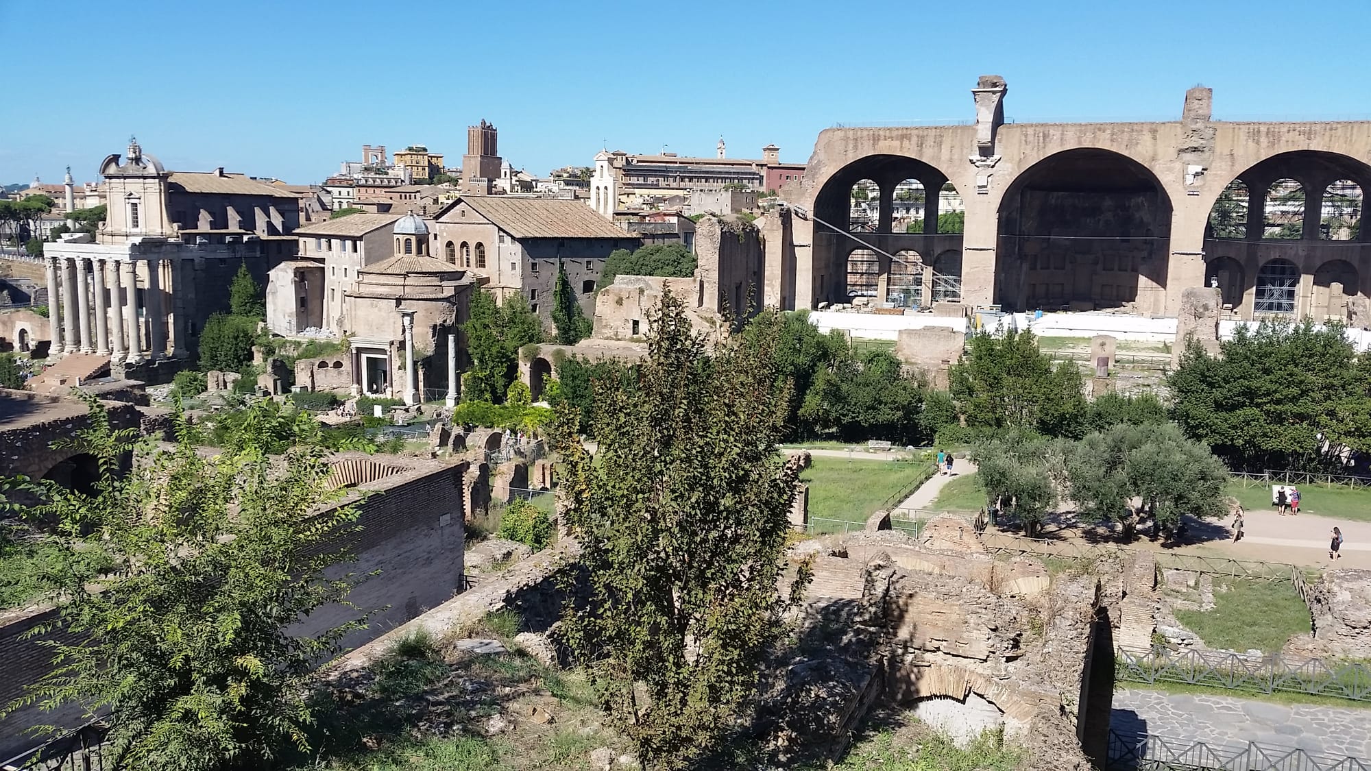 A wide view across the ruins of the Roman Forum