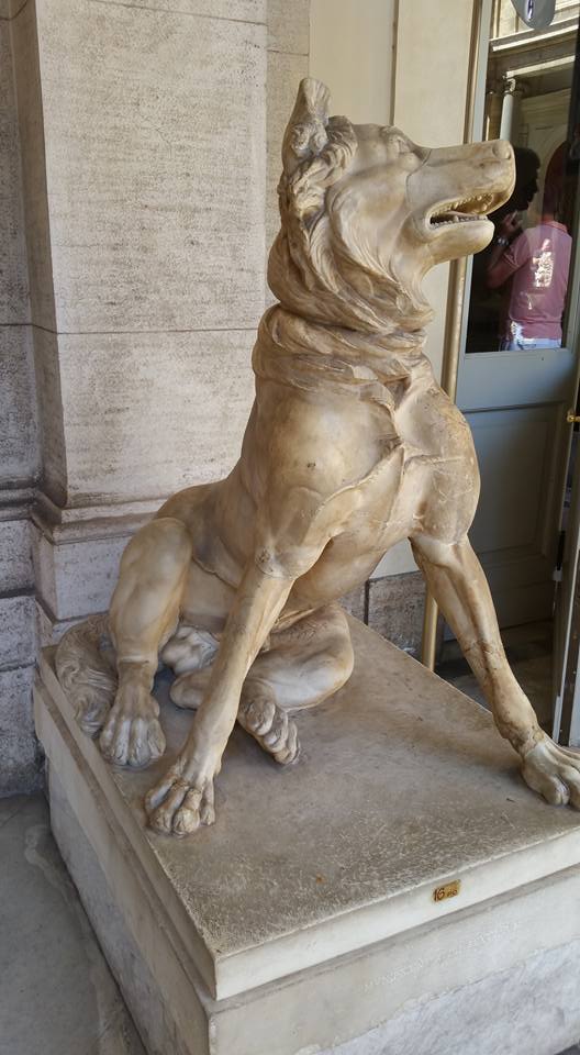 A marble dog in the Vatican Museums — also Daphne's