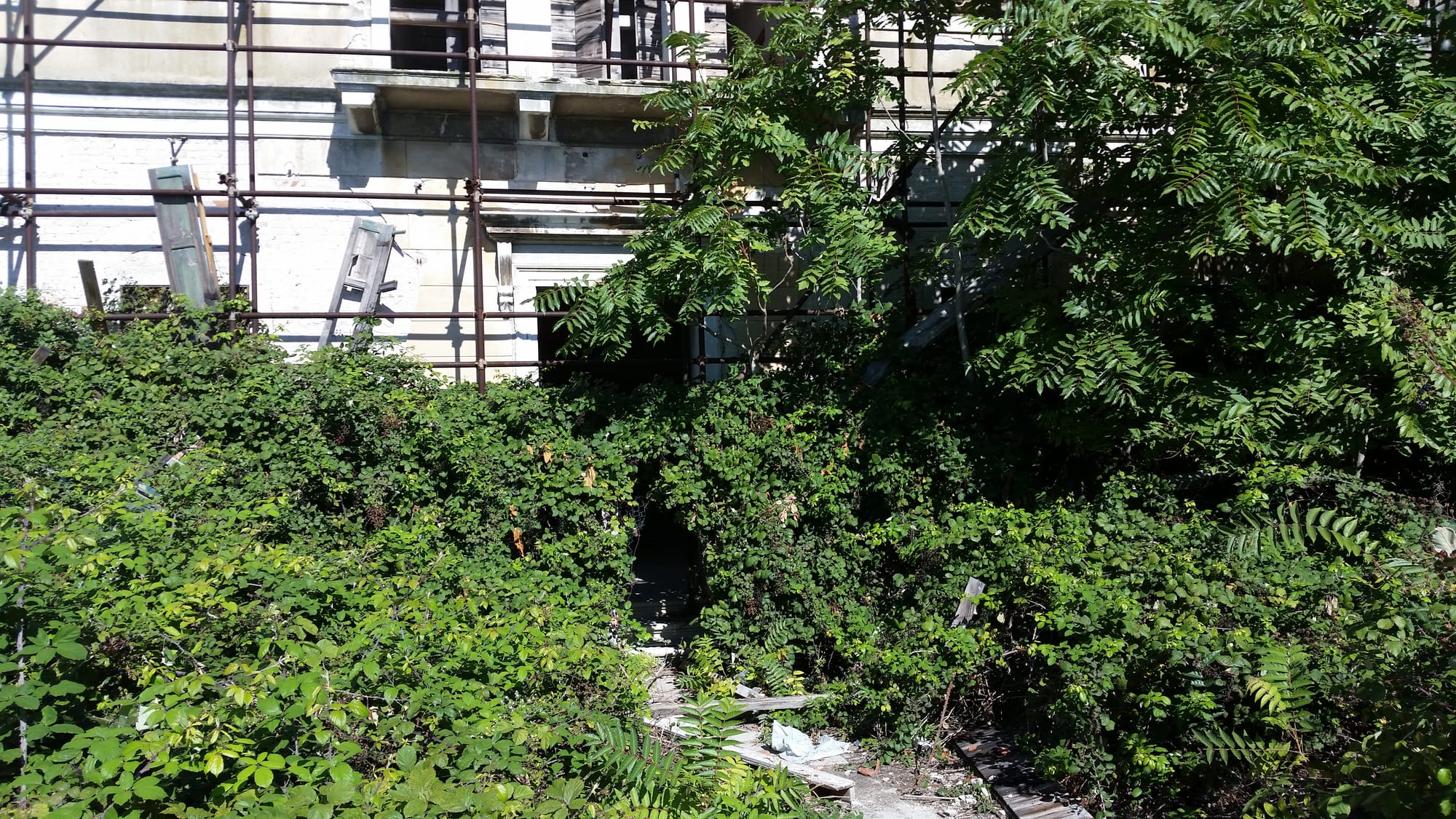 An overgrown doorway inside the abandoned hospital on Poveglia