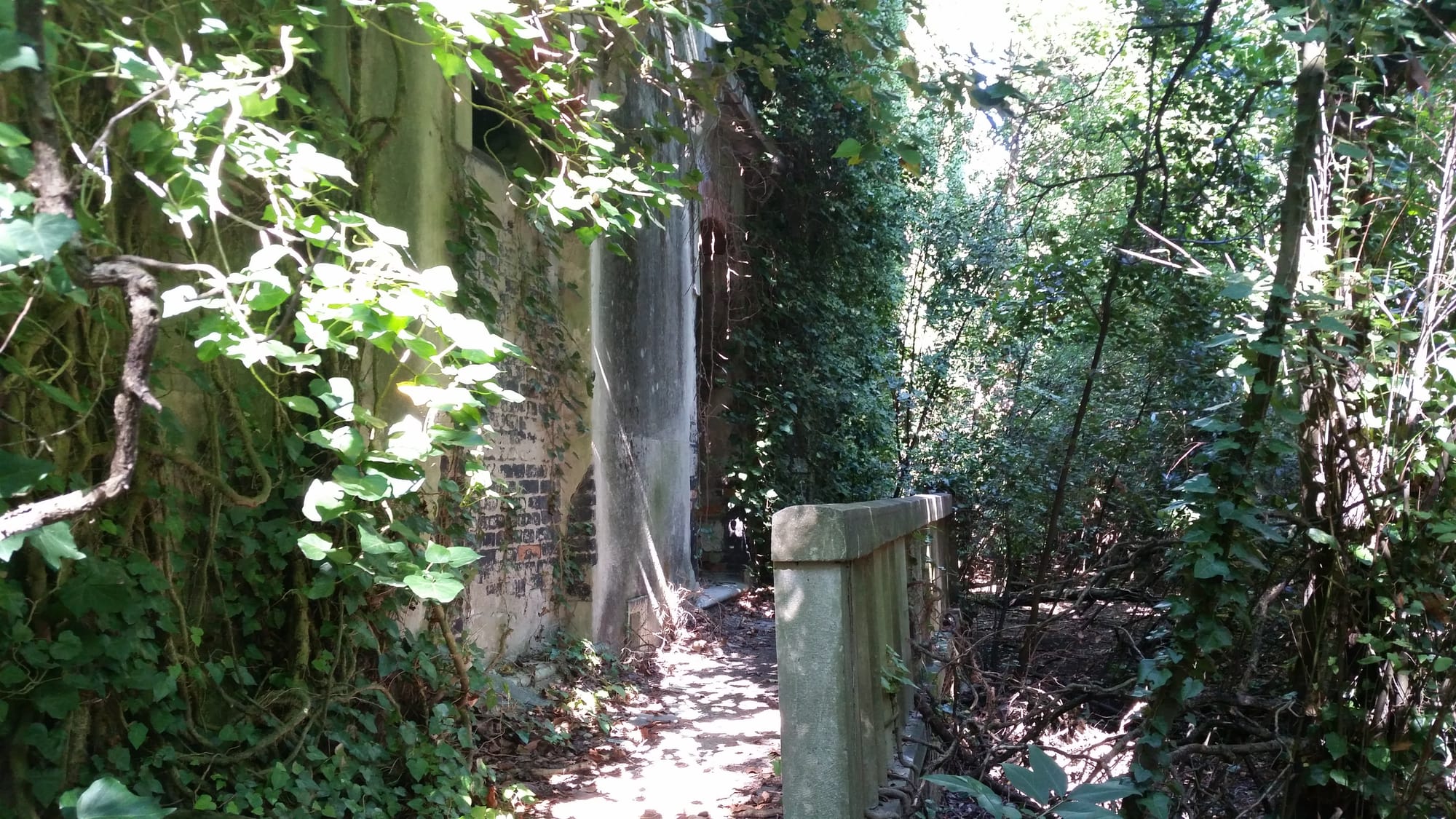 The overgrown ruins of Poveglia's hospital buildings