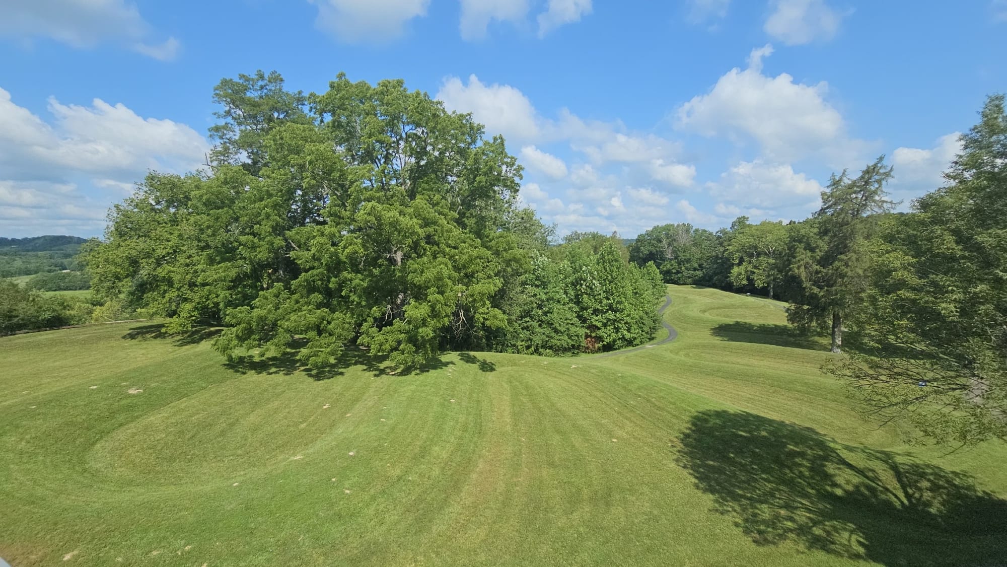 The serpent's coils seen from the observation tower, curving through the mowed grass toward the trees