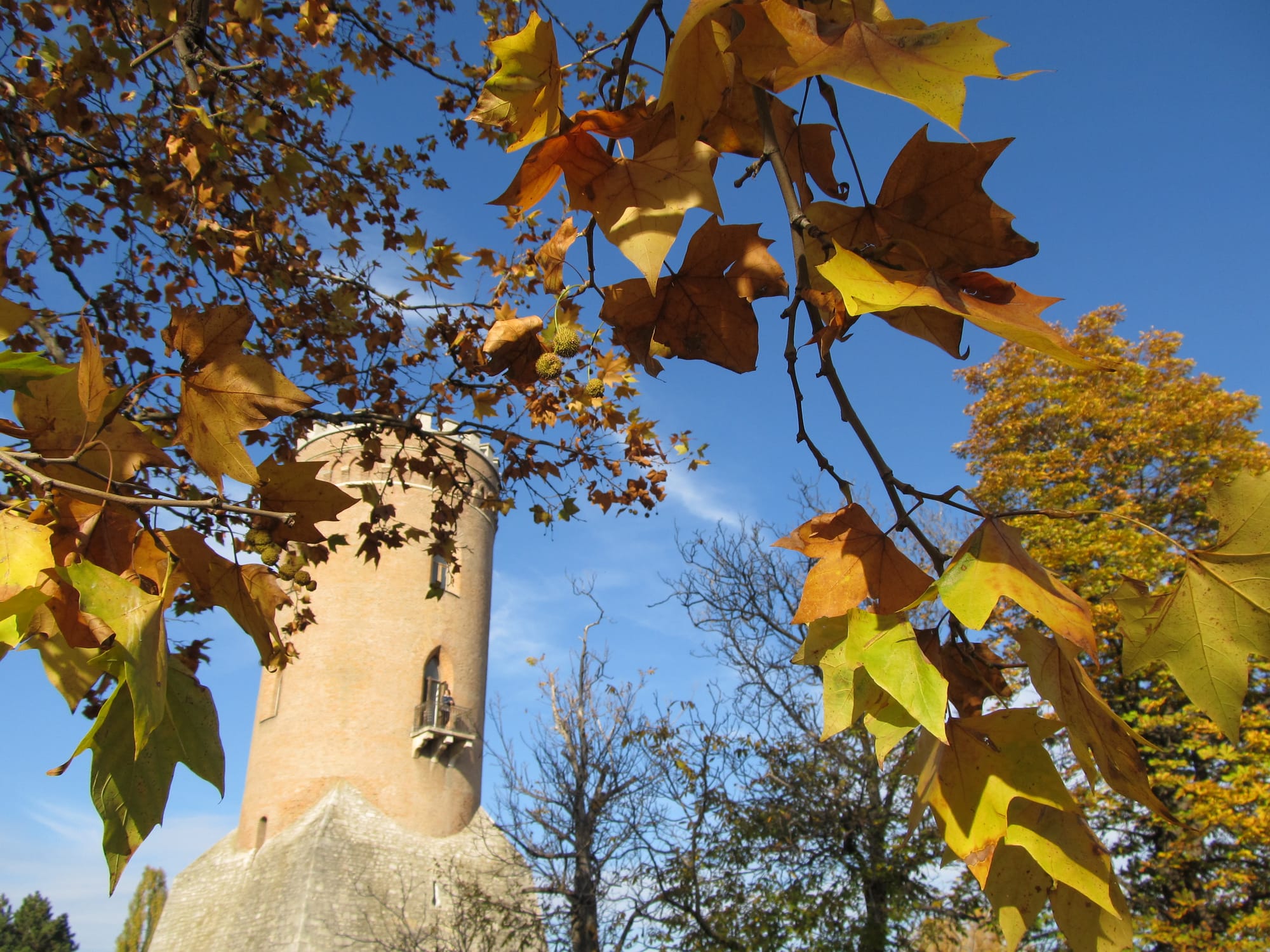 The Chindia Watchtower — Vlad's observation post, still standing at the center of the complex.