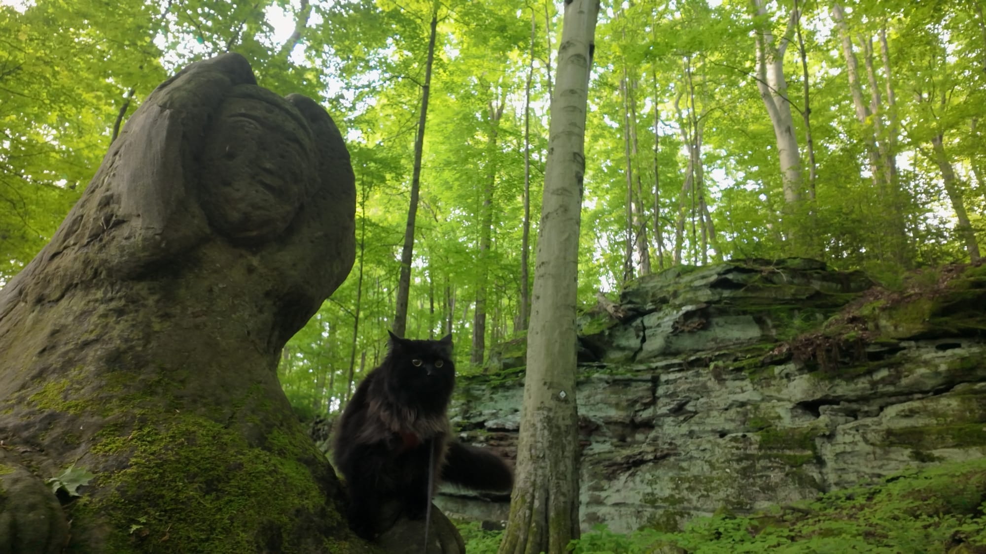 Artemis on the fourteen-foot sandstone sphinx that stops hikers cold on the Worden's Ledges Loop Trail in the Hinckley Reservation