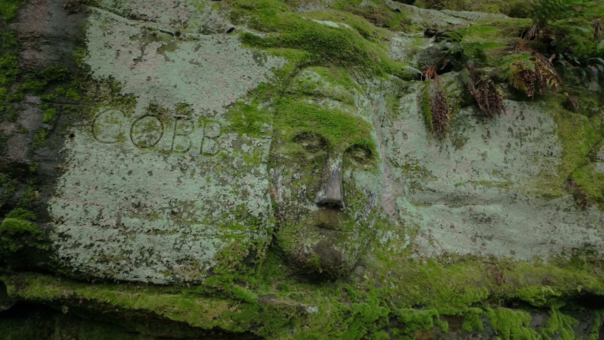 The face of Ty Cobb carved into the sandstone at Worden's Ledges — there's no surviving record of why