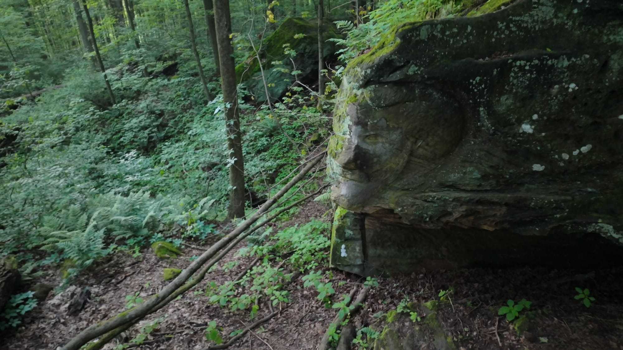 An overhead view of the Hiram Worden carving set into the ledge wall