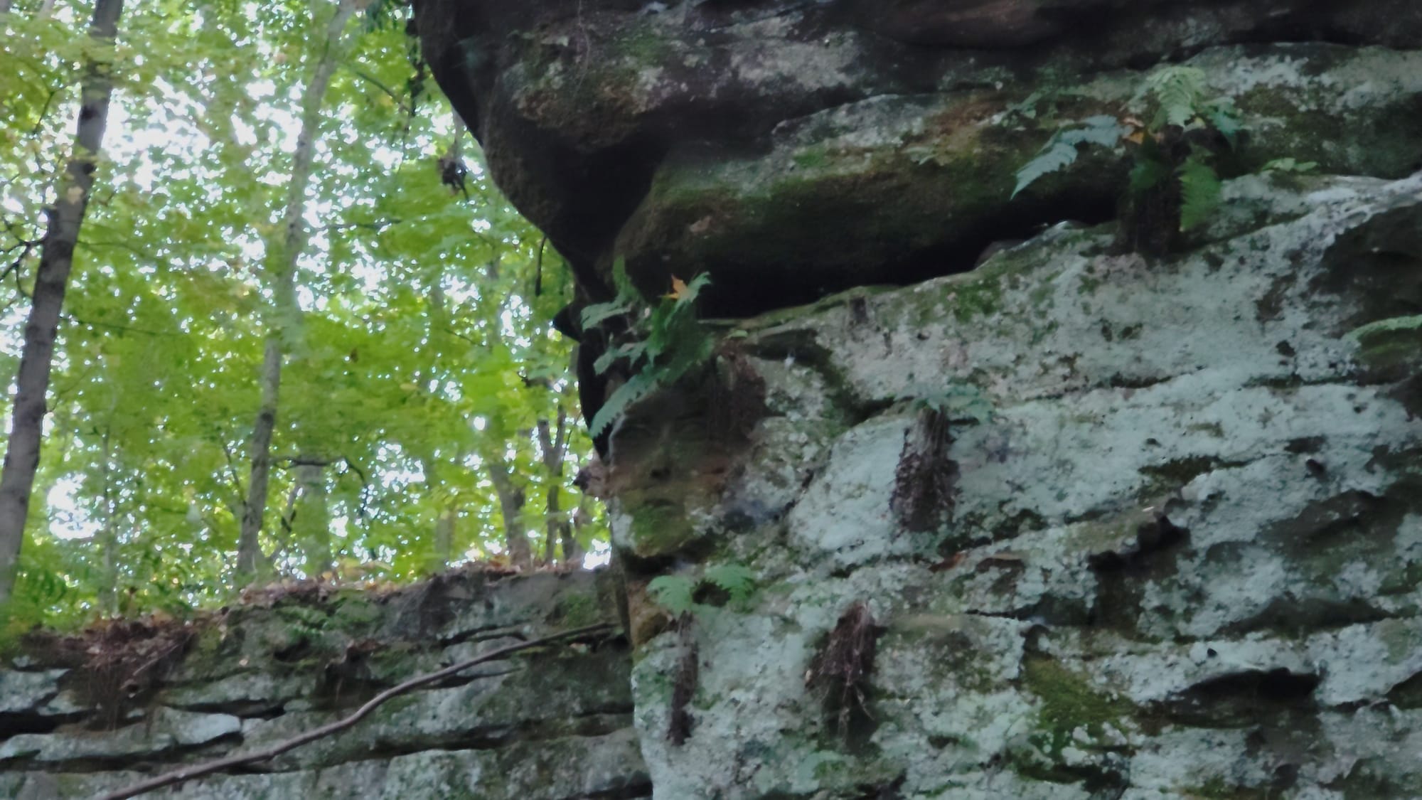 One of the carved faces set high on the ledge wall, easy to walk beneath without ever noticing