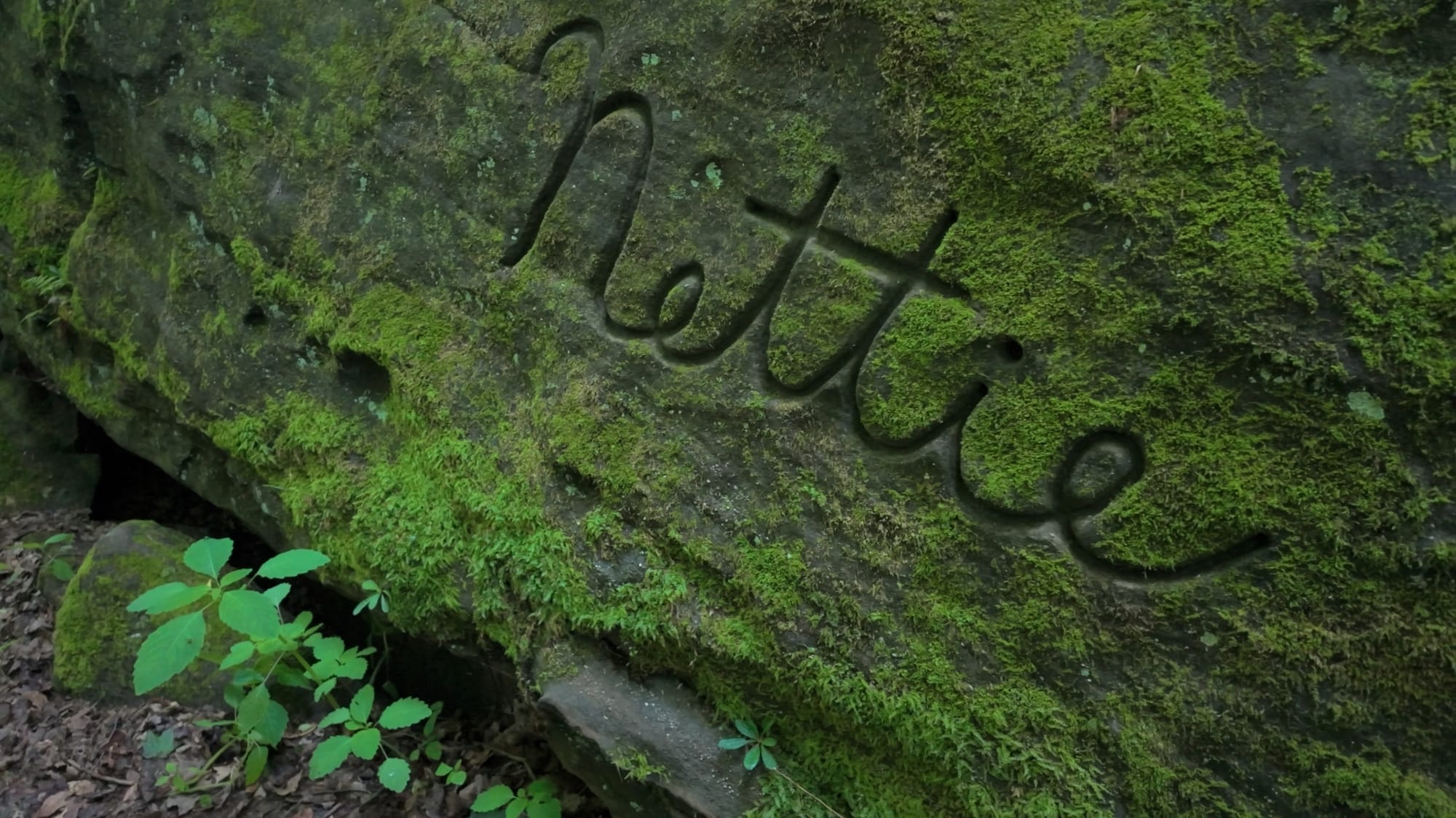 Just her name — Nettie — carved low into the rock of the land she never left