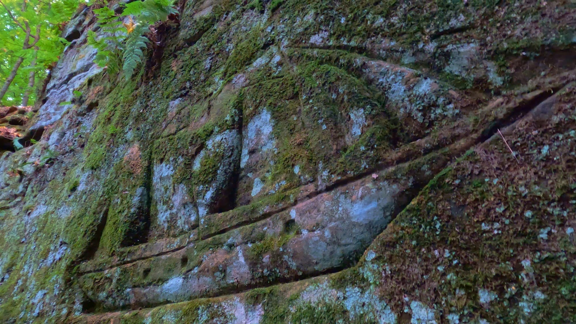 The three-masted schooner, the most technically accomplished carving on the ledges, now blurred under eight decades of moss and lichen