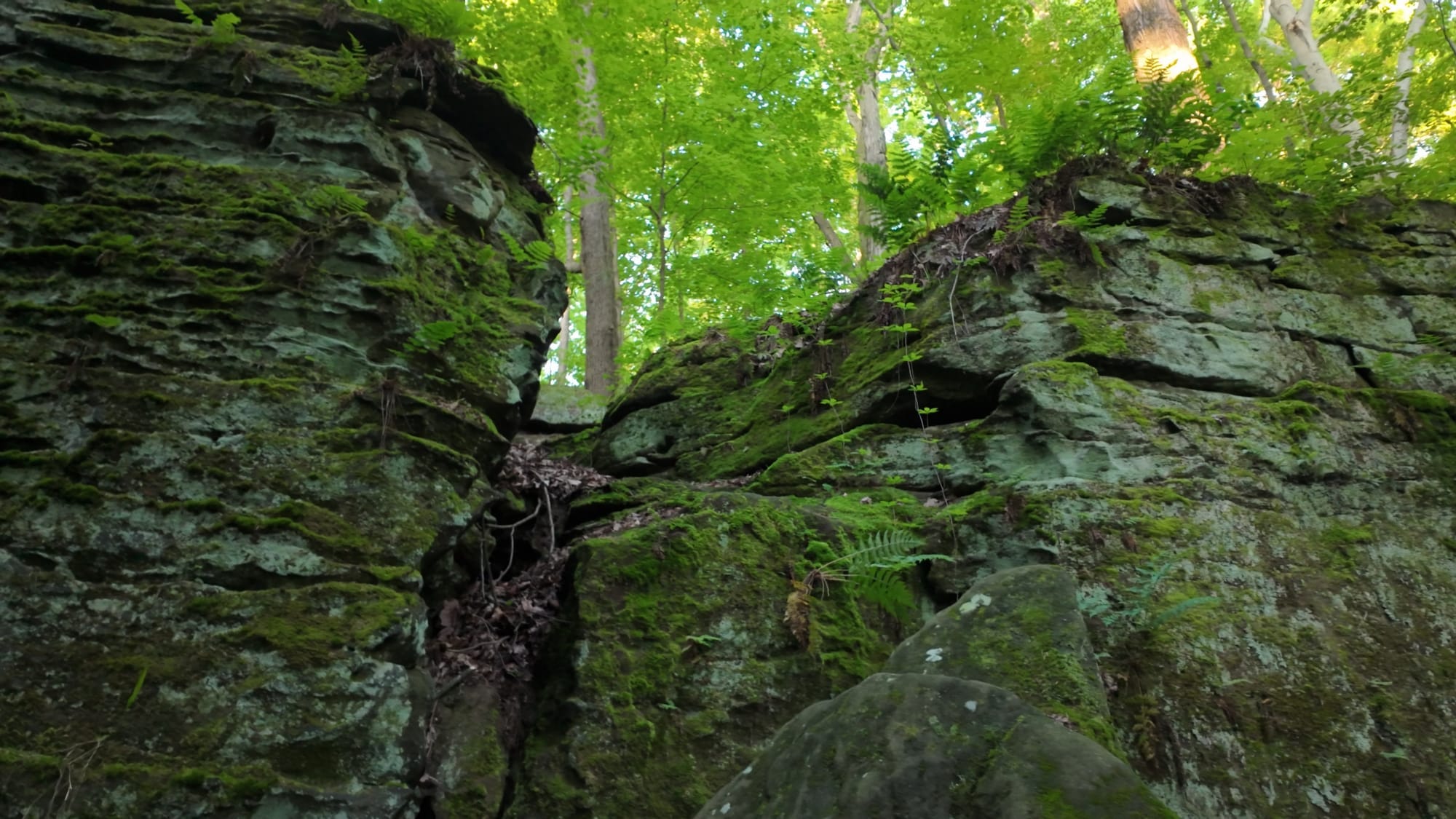 The weathered profile of Washington rendered in the Sharon conglomerate