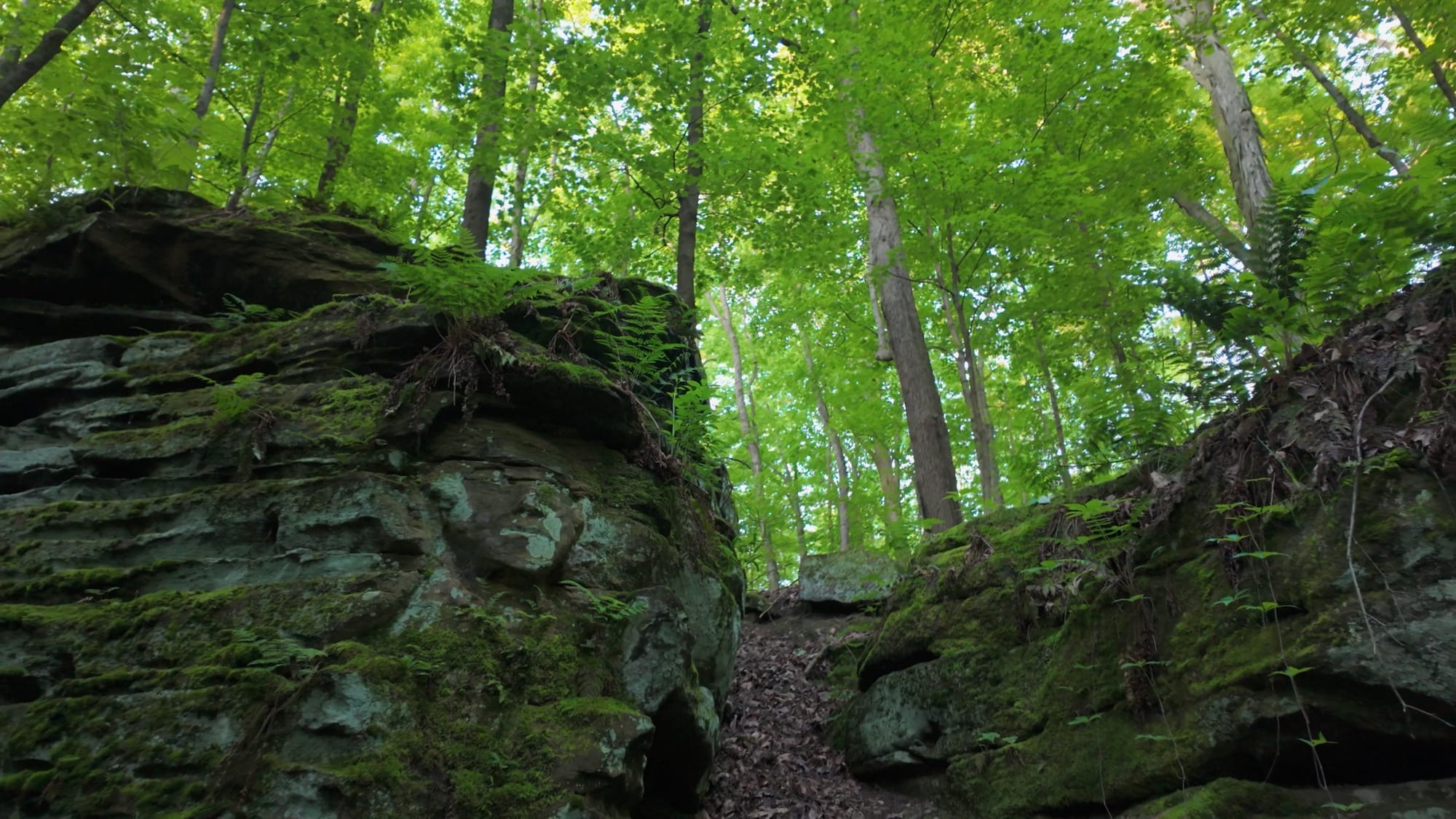 George Washington's face, carved high on the ledge wall where most hikers never think to look